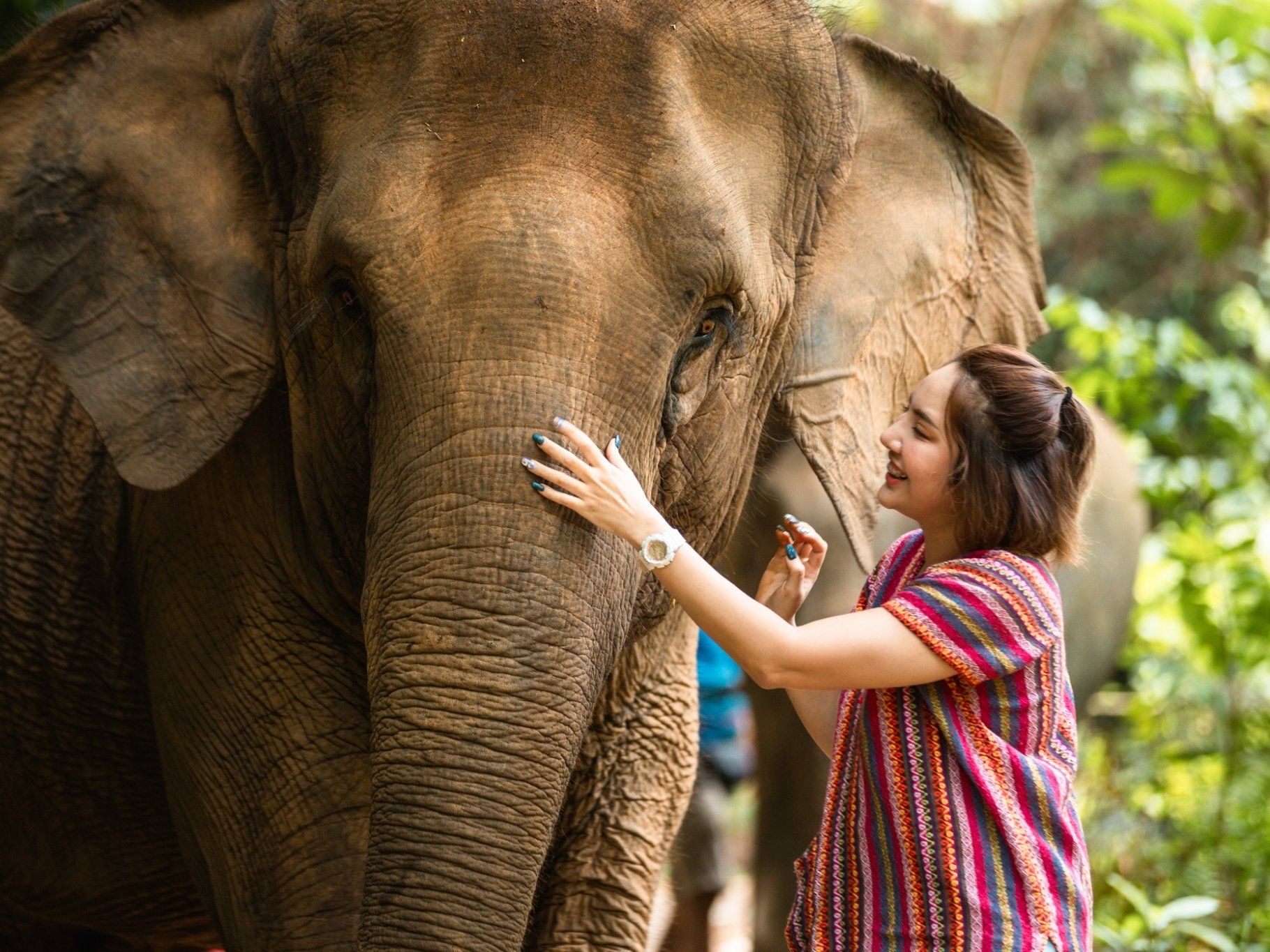 Elephant Care Camp and Cooking Class in Si-Ray Phuket