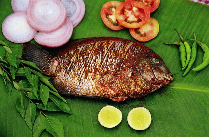 14 Days Professional Chef-Guided Indian Authentic Culinary Tour