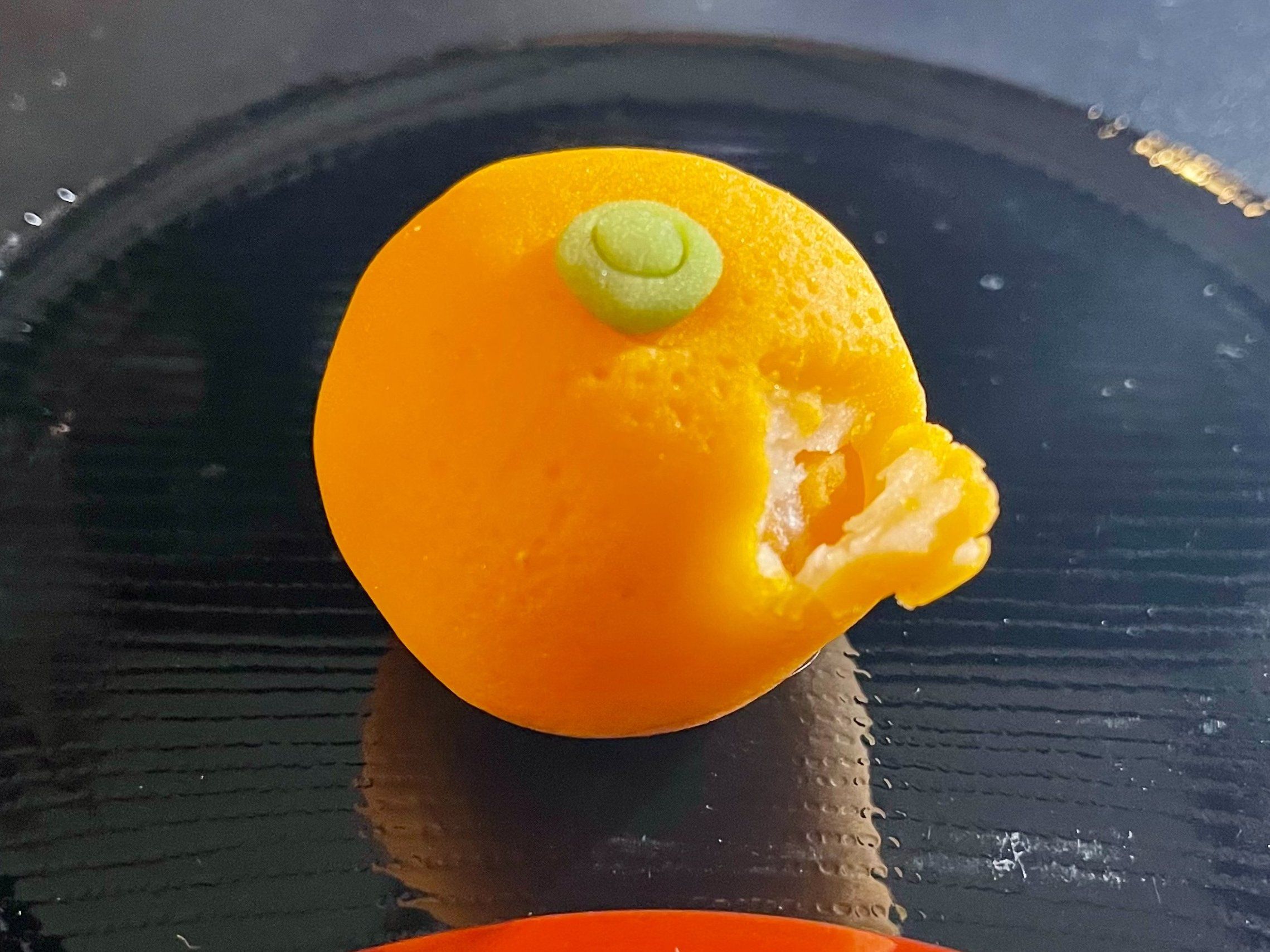 Craft Traditional Japanese Sweets in Tokyo Cooking Class