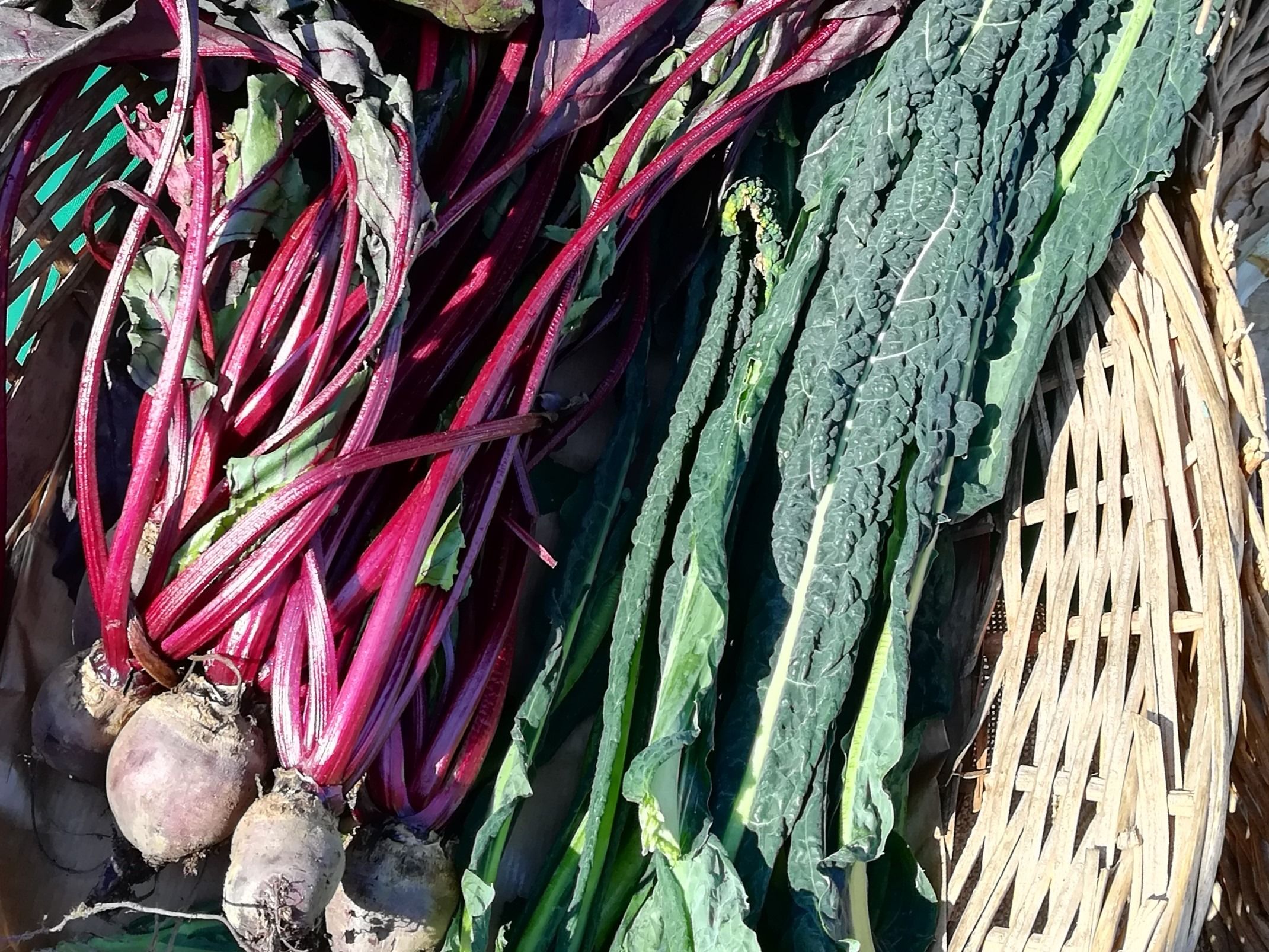 39km-zero-biological-market39-tour-and-cooking-class-on-fridays_U364y3W.jpeg