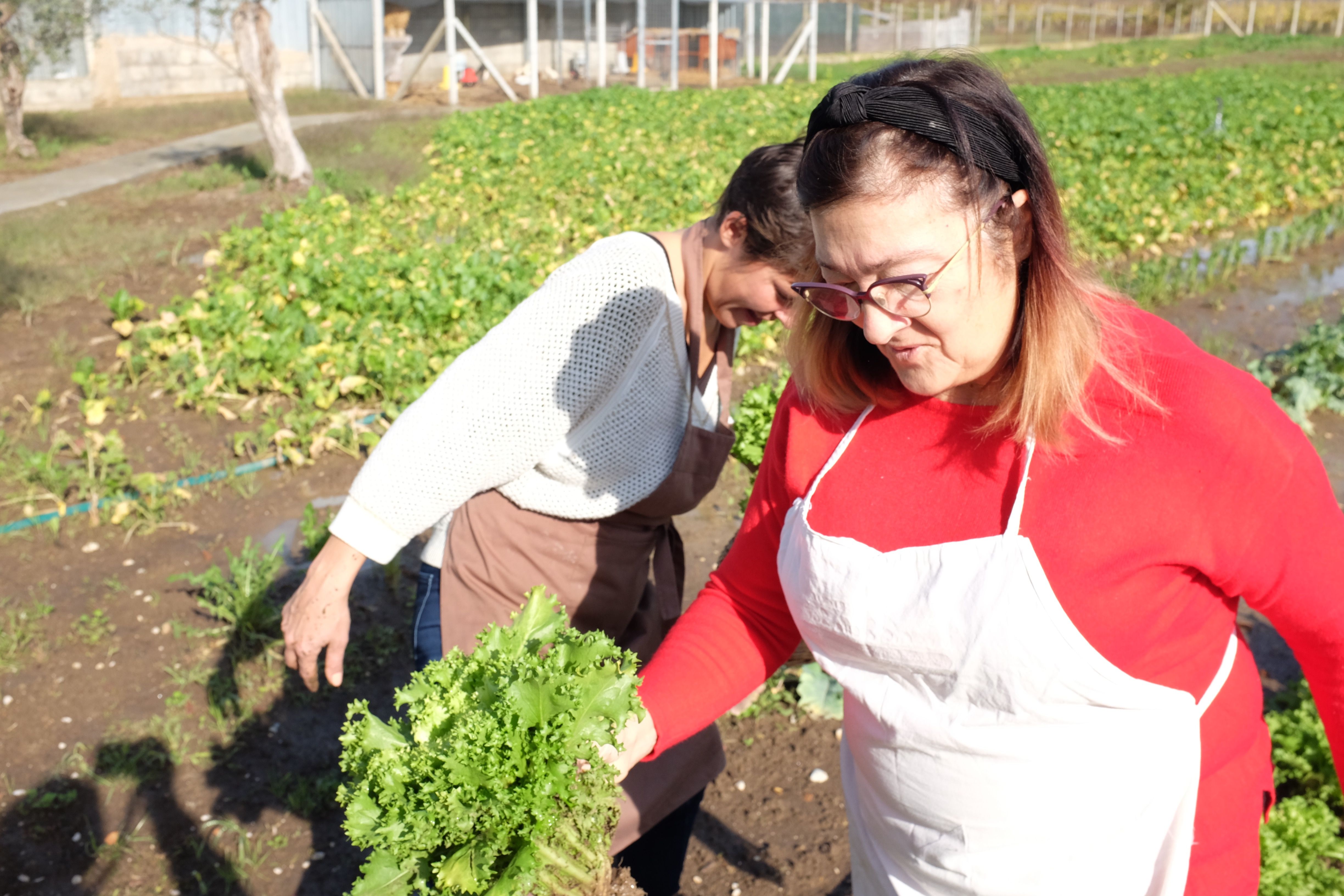 Cooking at the Farmhouse: 4-Course Seasonal Menu