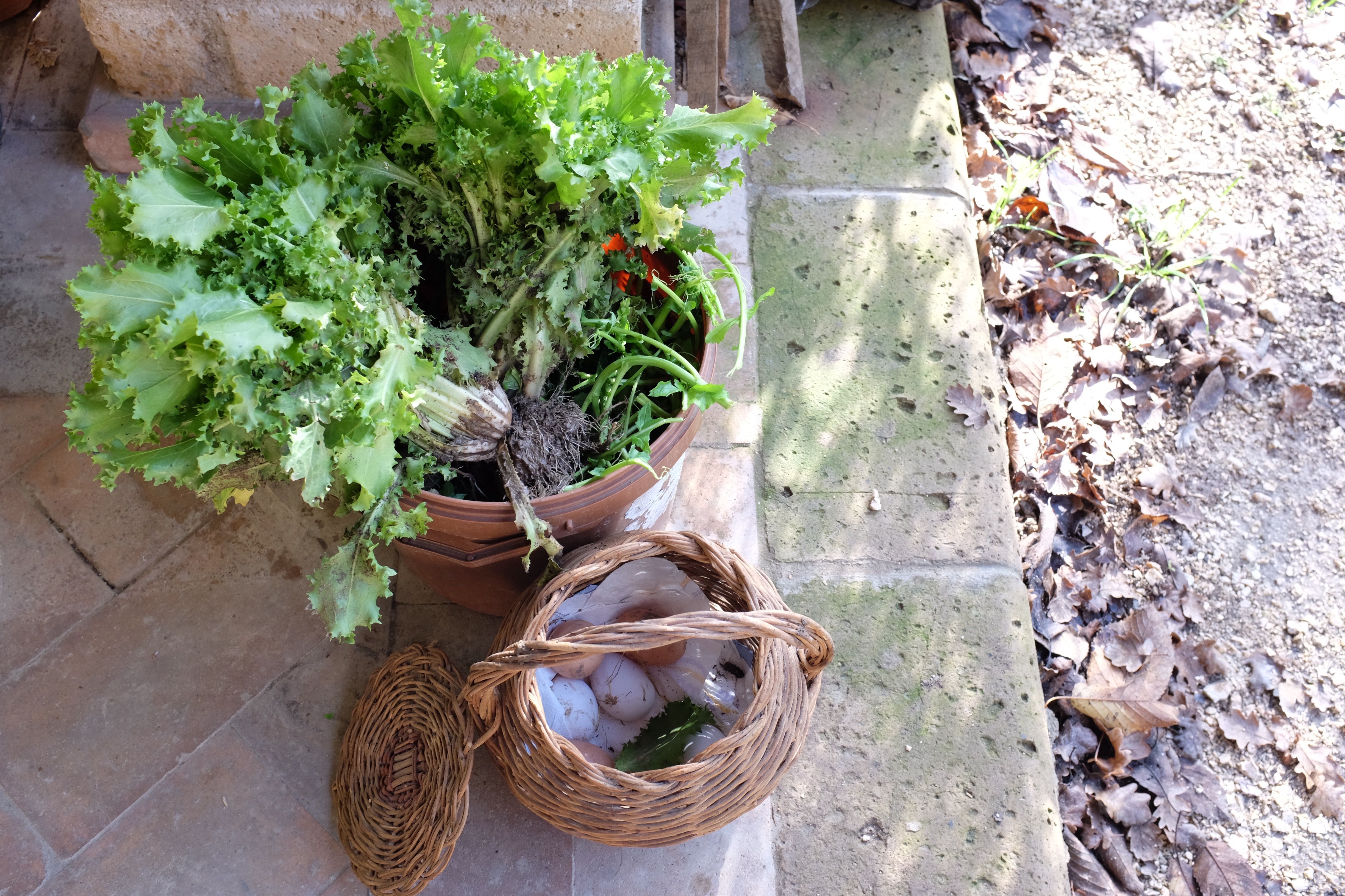 Cooking at the Farmhouse: 4-Course Seasonal Menu