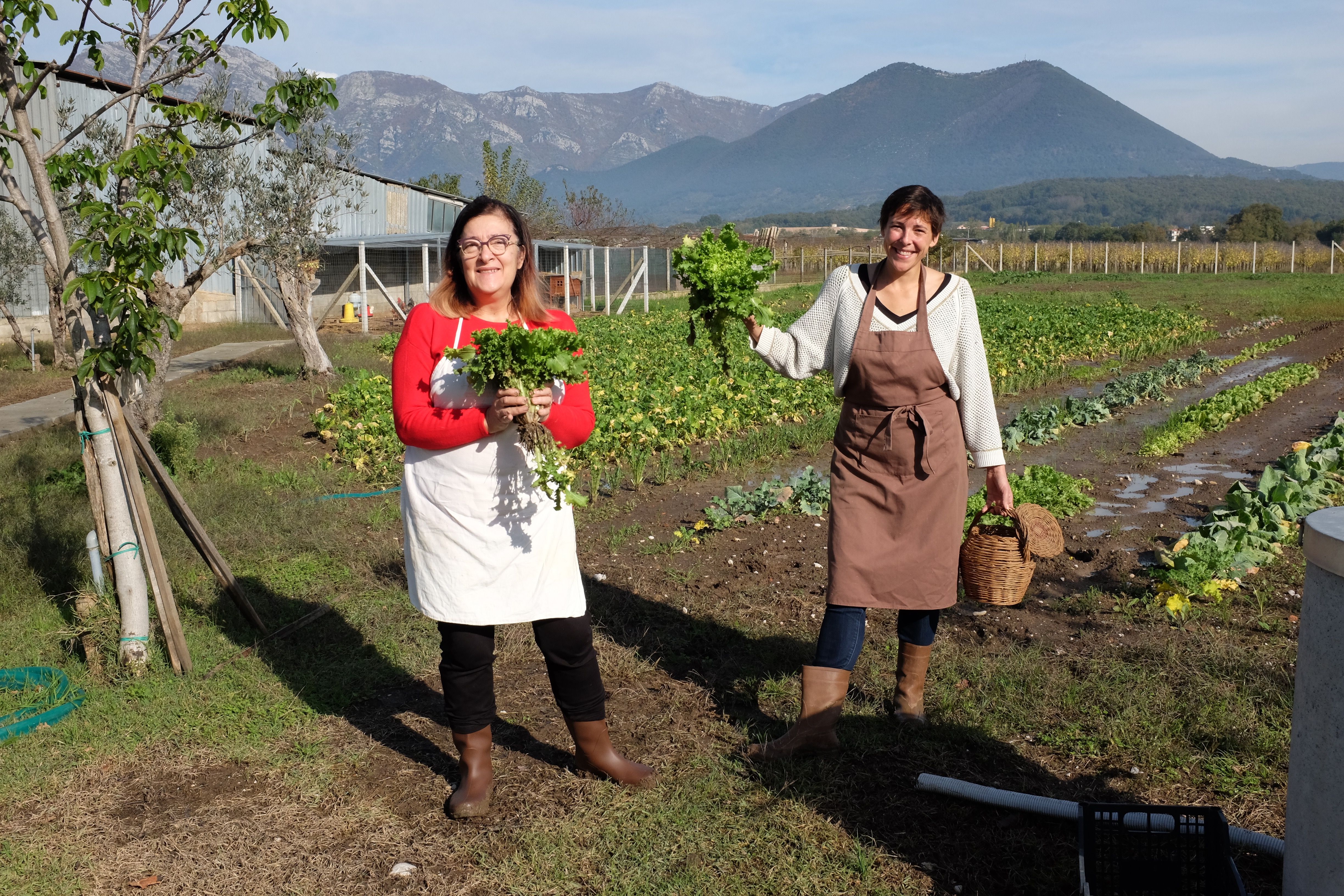 Private Cooking at the Farmhouse: Traditional Neapolitan Menu for 7 days (6 nights) with Accommodation