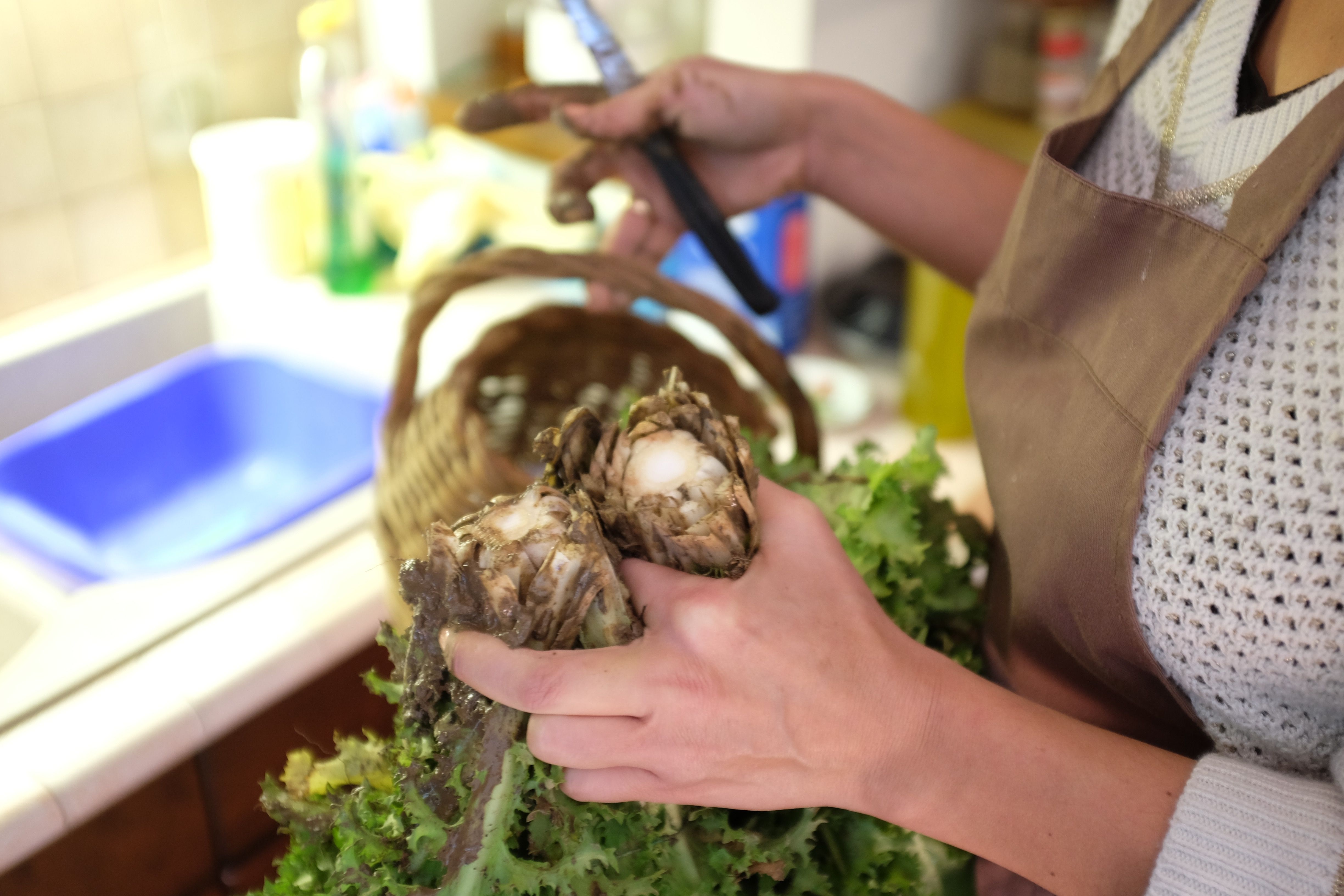 Private Cooking at the Farmhouse: Traditional Neapolitan Menu for 7 days (6 nights) with Accommodation