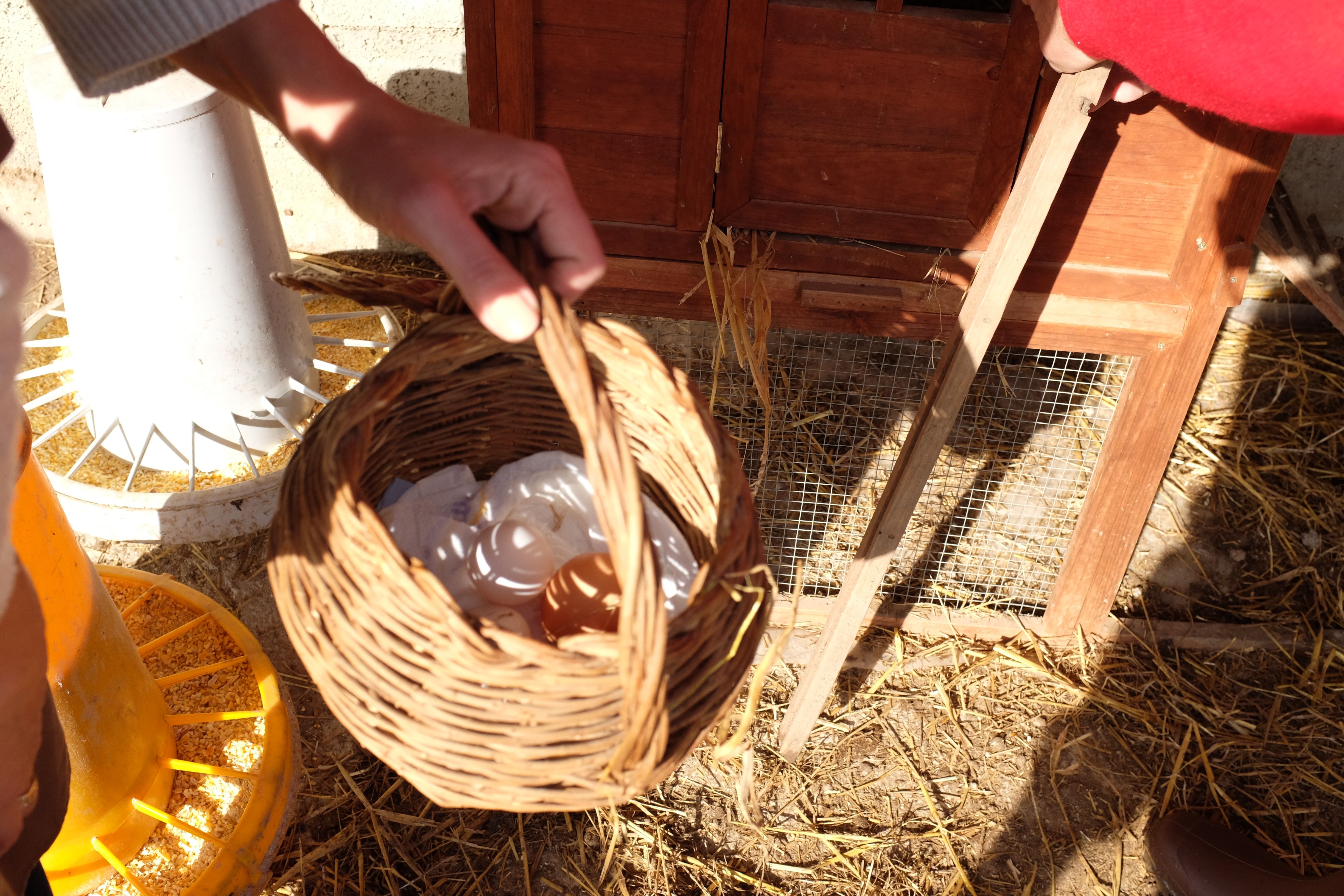 Private Cooking at the Farmhouse: Traditional Neapolitan Menu for 7 days (6 nights) with Accommodation
