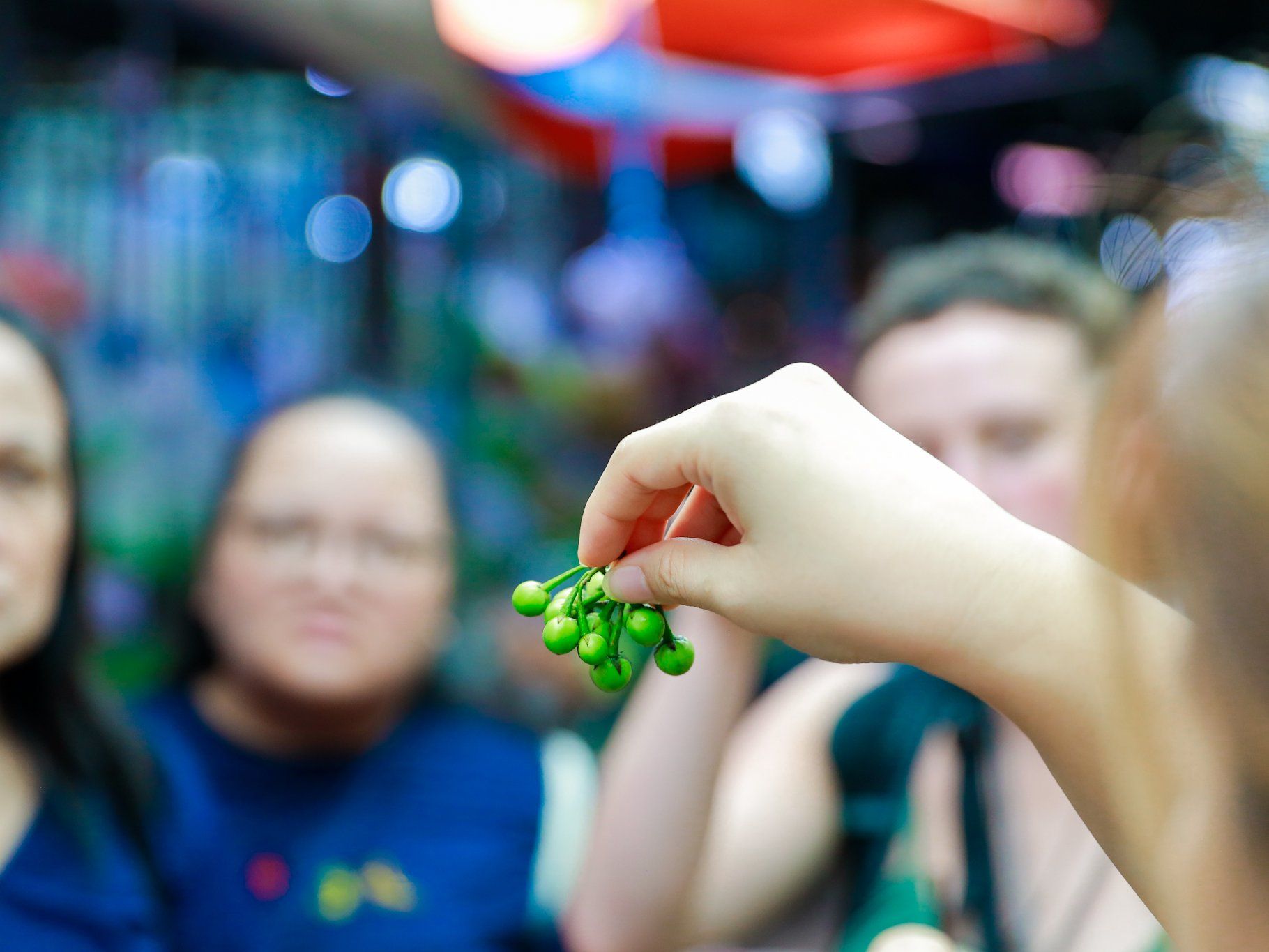 4-Dish Cooking Class Bangkok & Morning Market Tour