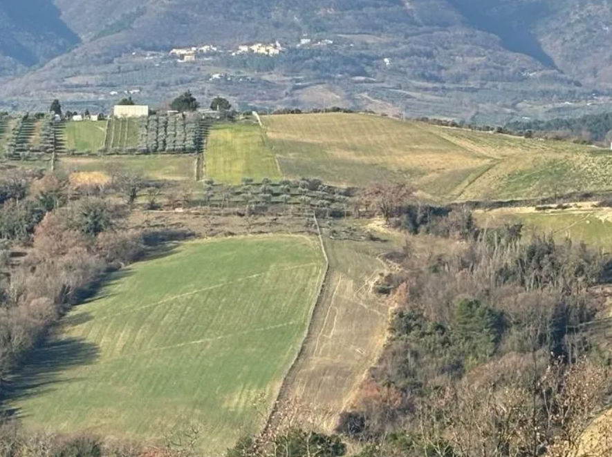 5-Day Cooking, Truffle Hunting & Wine Tasting Experience in Spoleto