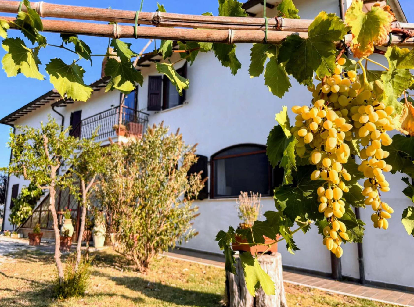 5-Day Cooking, Truffle Hunting & Wine Tasting Experience in Spoleto