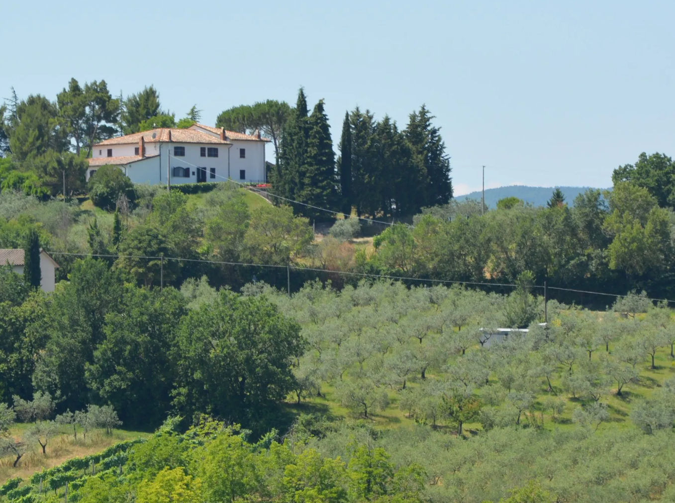 5-Day Cooking, Truffle Hunting & Wine Tasting Experience in Spoleto