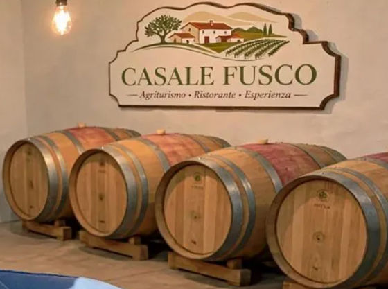 5-Day Cooking, Truffle Hunting & Wine Tasting Experience in Spoleto