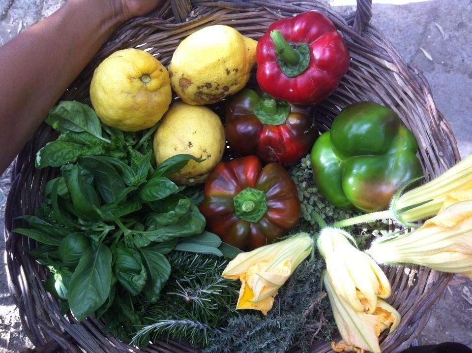 5-Course Cooking Class on Hills of Sorrento in Family Villa