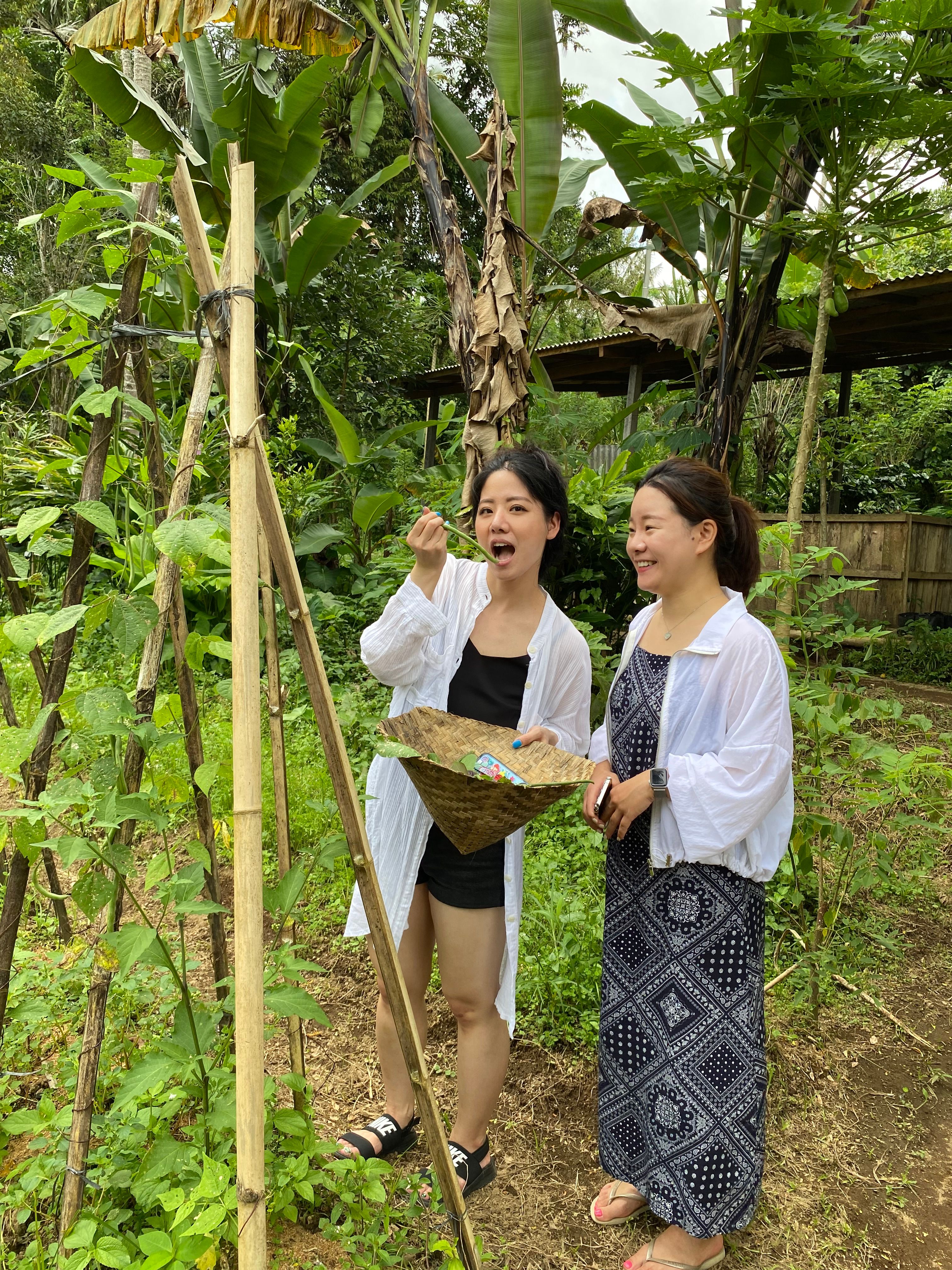 7-Dish Cooking Class in Lush Organic Farm with Vegan Option - Evening Class