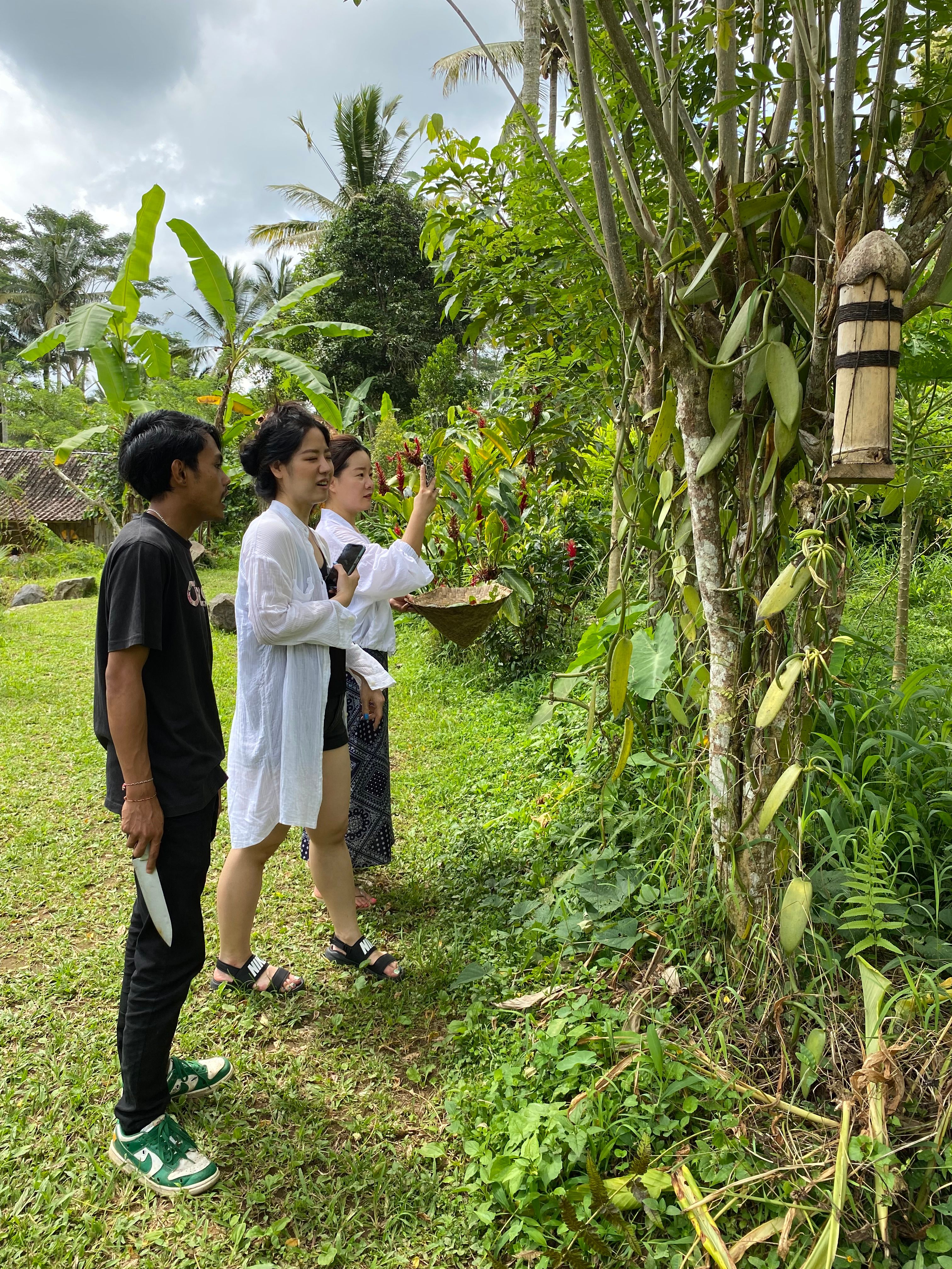 7-Dish Cooking Class in Lush Organic Farm with Vegan Option - Evening Class
