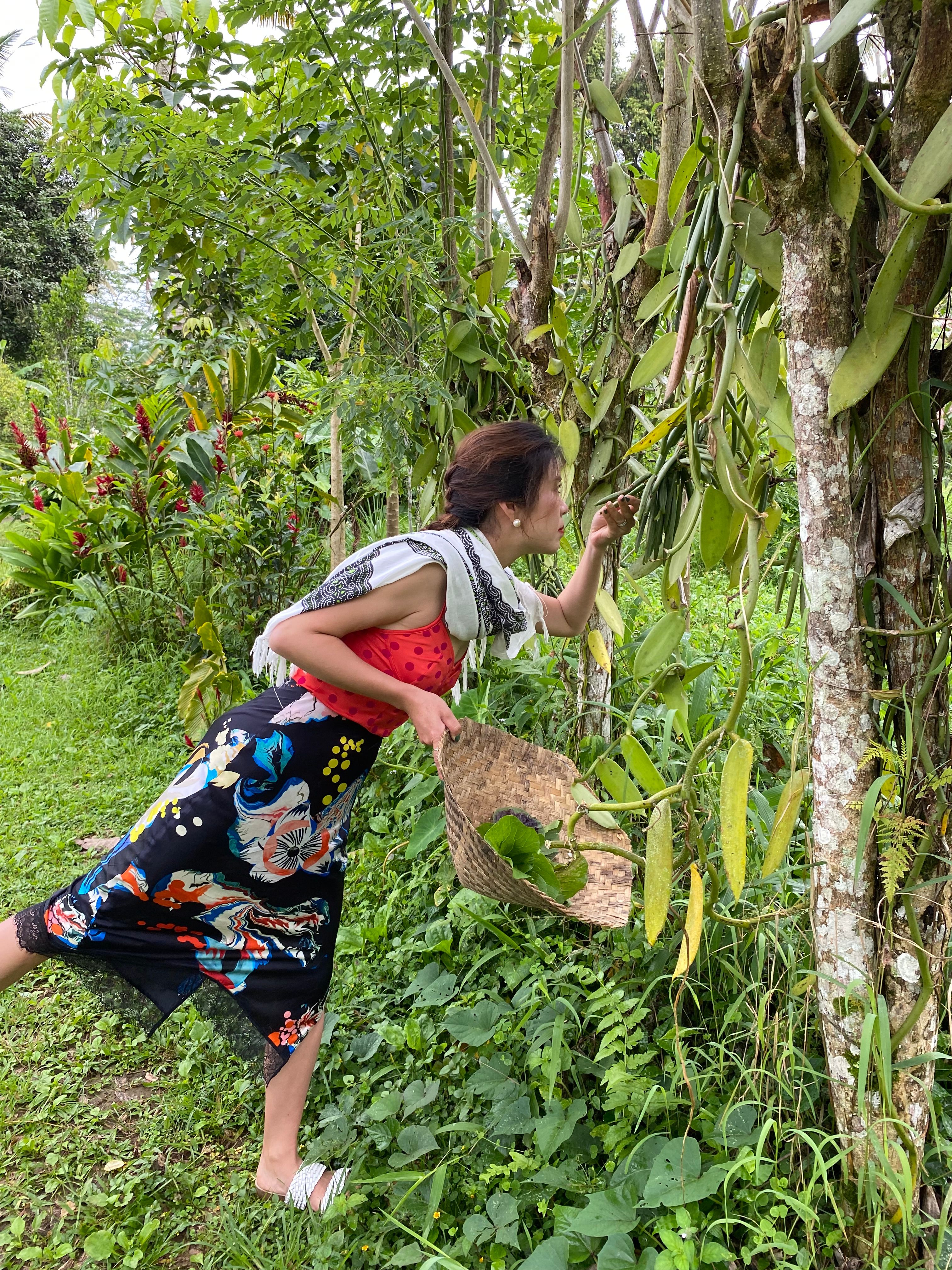7-Dish Cooking Class in Lush Organic Farm with Vegan Option - Evening Class