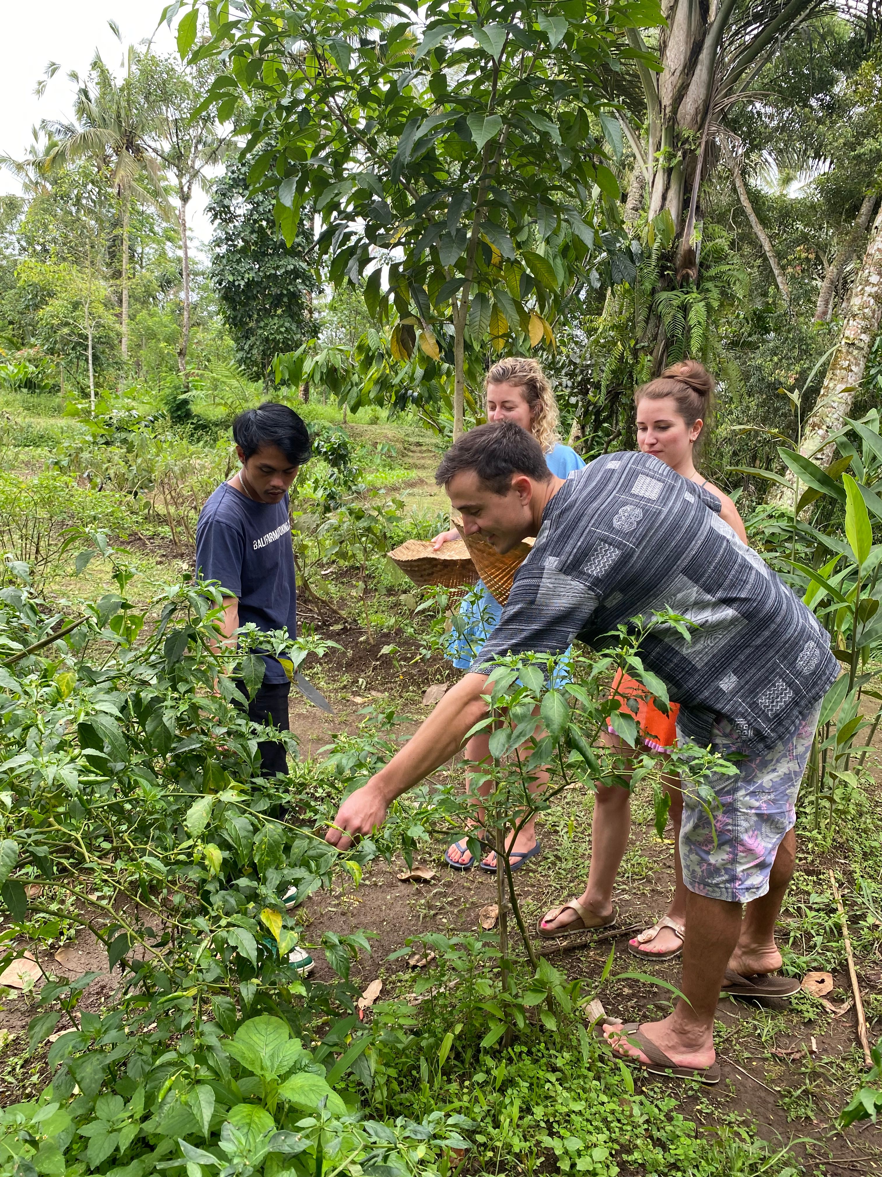 7-Dish Cooking Class in Lush Organic Farm with Vegan Option - Evening Class