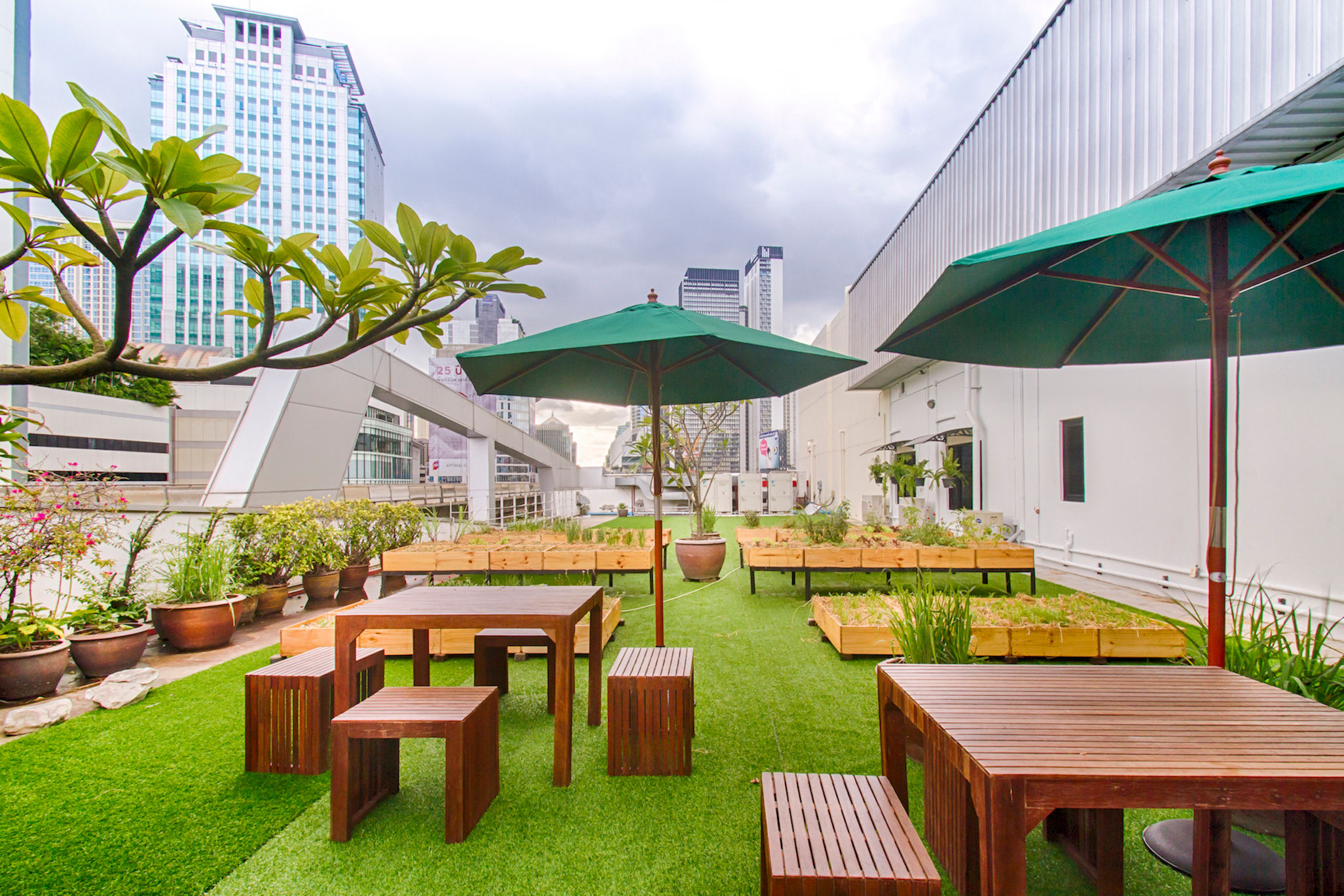 Rooftop herb garden tour and private Thai cooking class on Sukhumvit in Bangkok Book and Enjoy