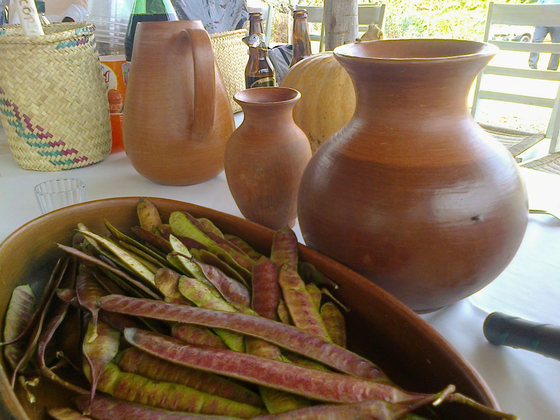Frutas y Verduras Mexico A Day of Oaxacan Plant Food Traditions with a Renowned Chef Book