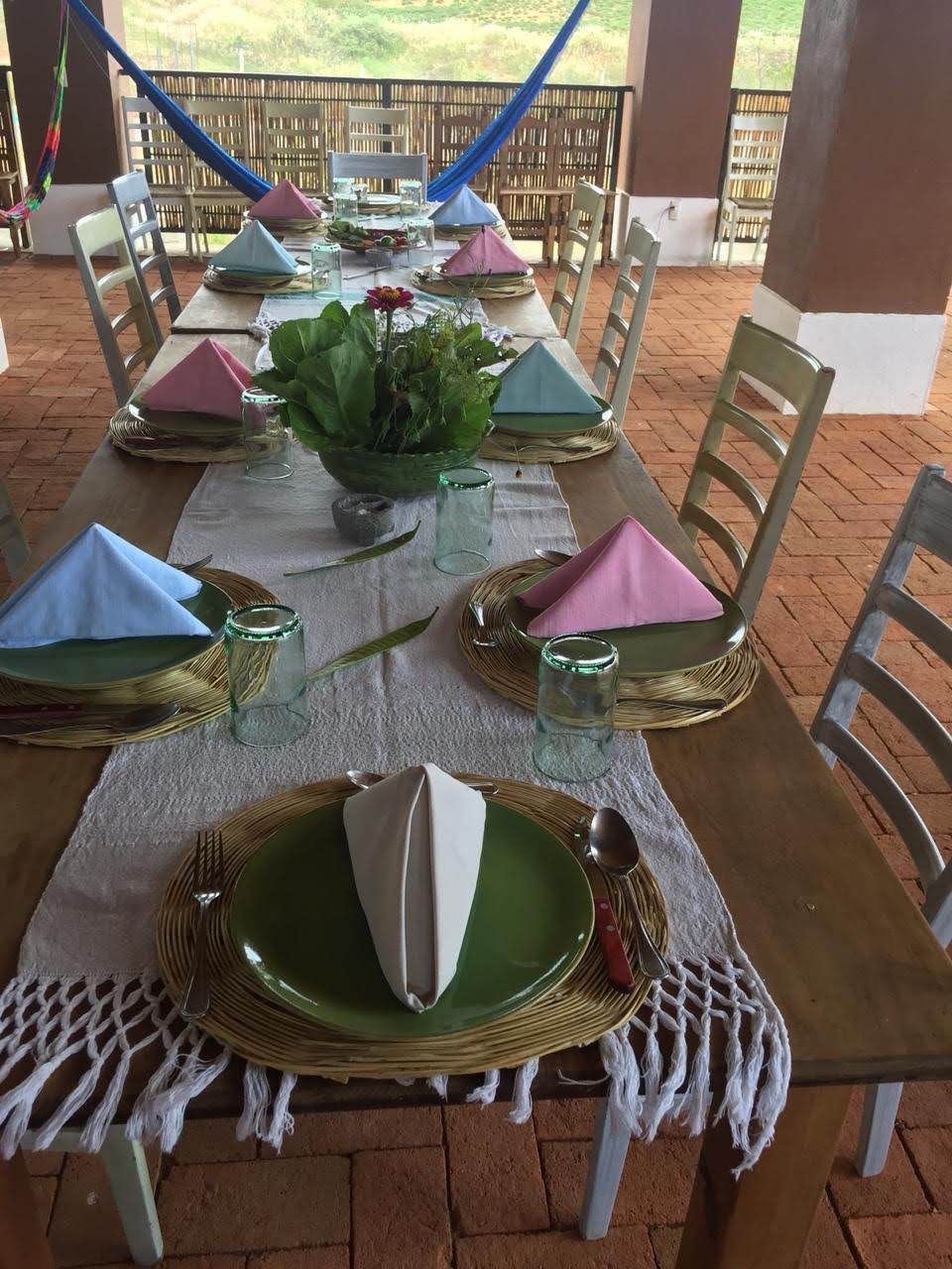 A Day of Oaxacan Plant Food Traditions with a Renowned Chef