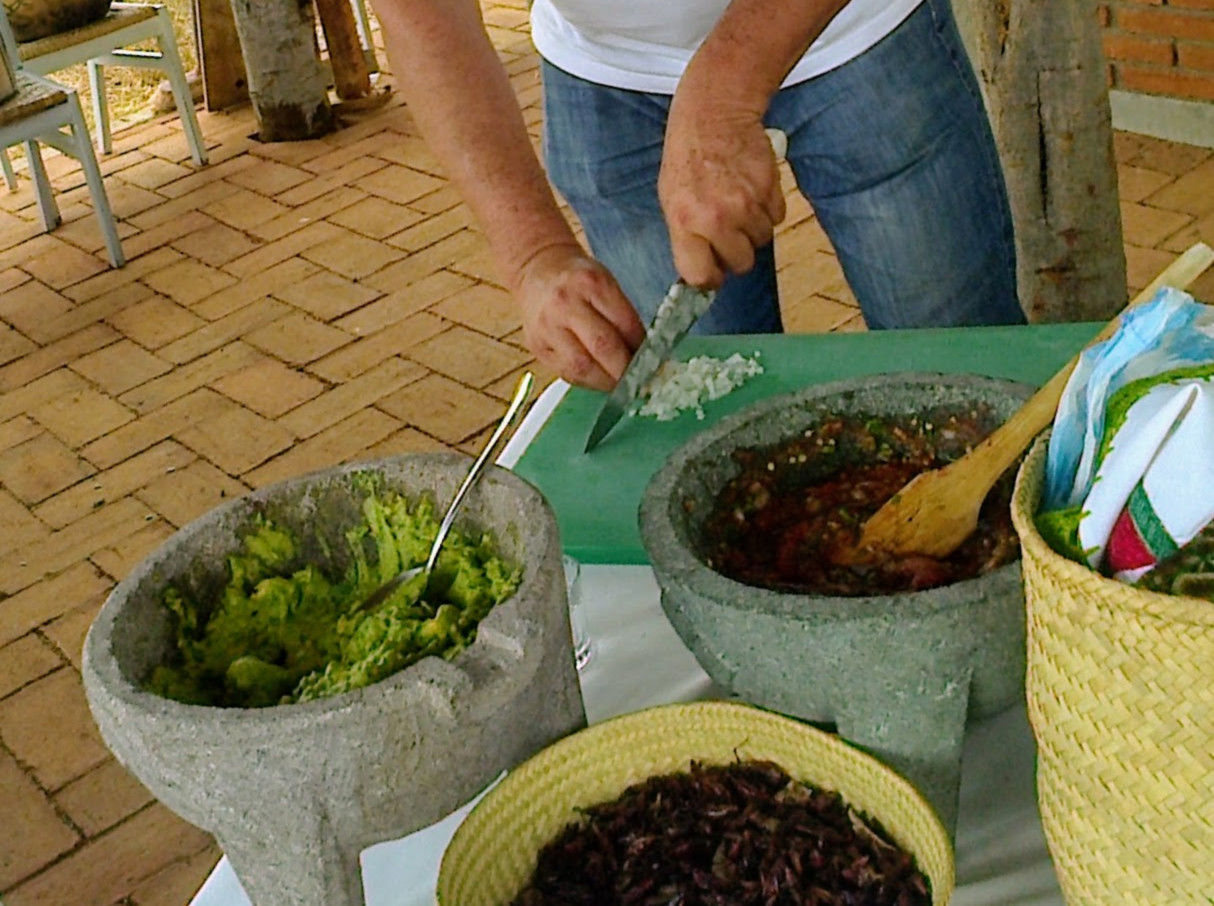 A Day of Oaxacan Plant Food Traditions with a Renowned Chef