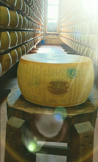 A Guided Tour to Experience the Best Parmigiano Reggiano Tasting