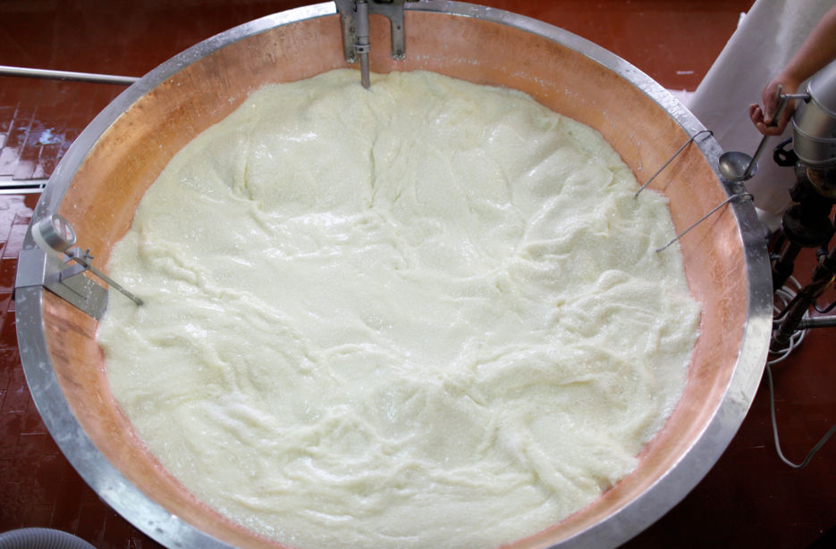 A Guided Tour to Experience the Best Parmigiano Reggiano Tasting