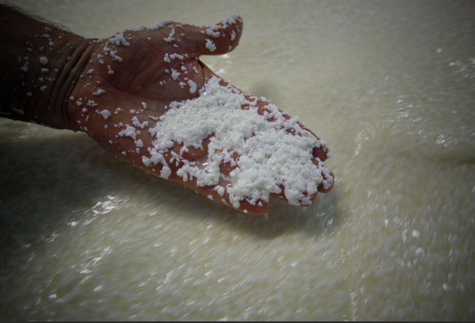 A Guided Tour to Experience the Best Parmigiano Reggiano Tasting