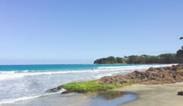 Puerto Viejo Food Tours: A Journey Through Coastal Delights in Puerto