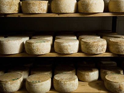 Biodynamic Wines & Organic Feast: Uncork Nature's Bounty at Stunning Vineyard