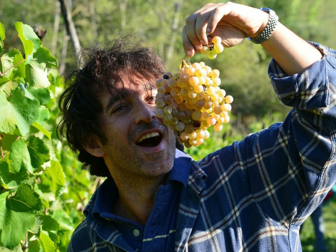 Biodynamic Wines & Organic Feast: Uncork Nature's Bounty at Stunning Vineyard