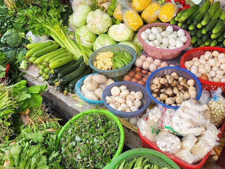 A Taste of Hanoi: Banh Xeo, Pho & Che Ngo in a Garden Villa