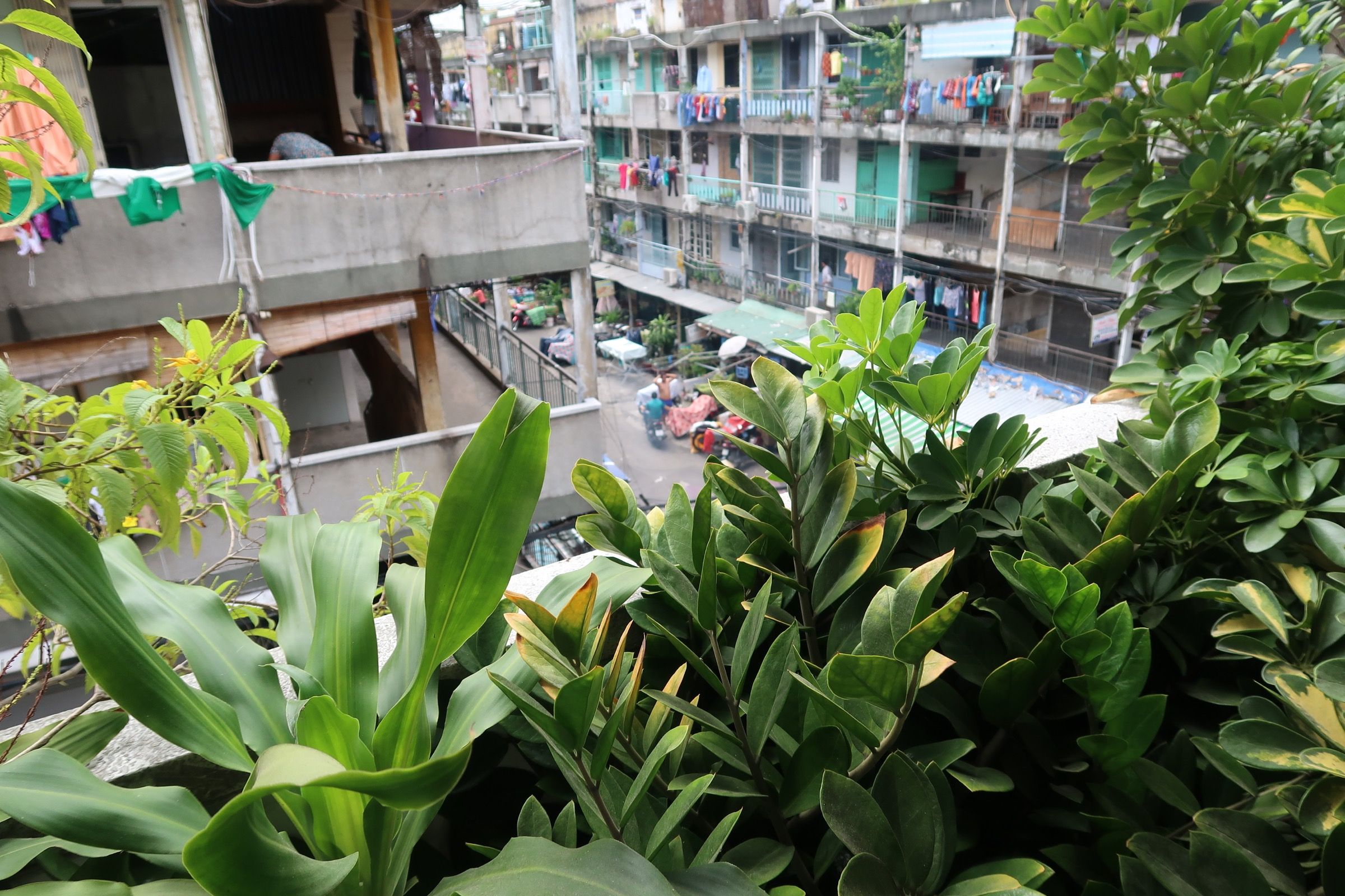 Vegan Food Walking Tour and the Hidden Gems in Ho Chi Minh City