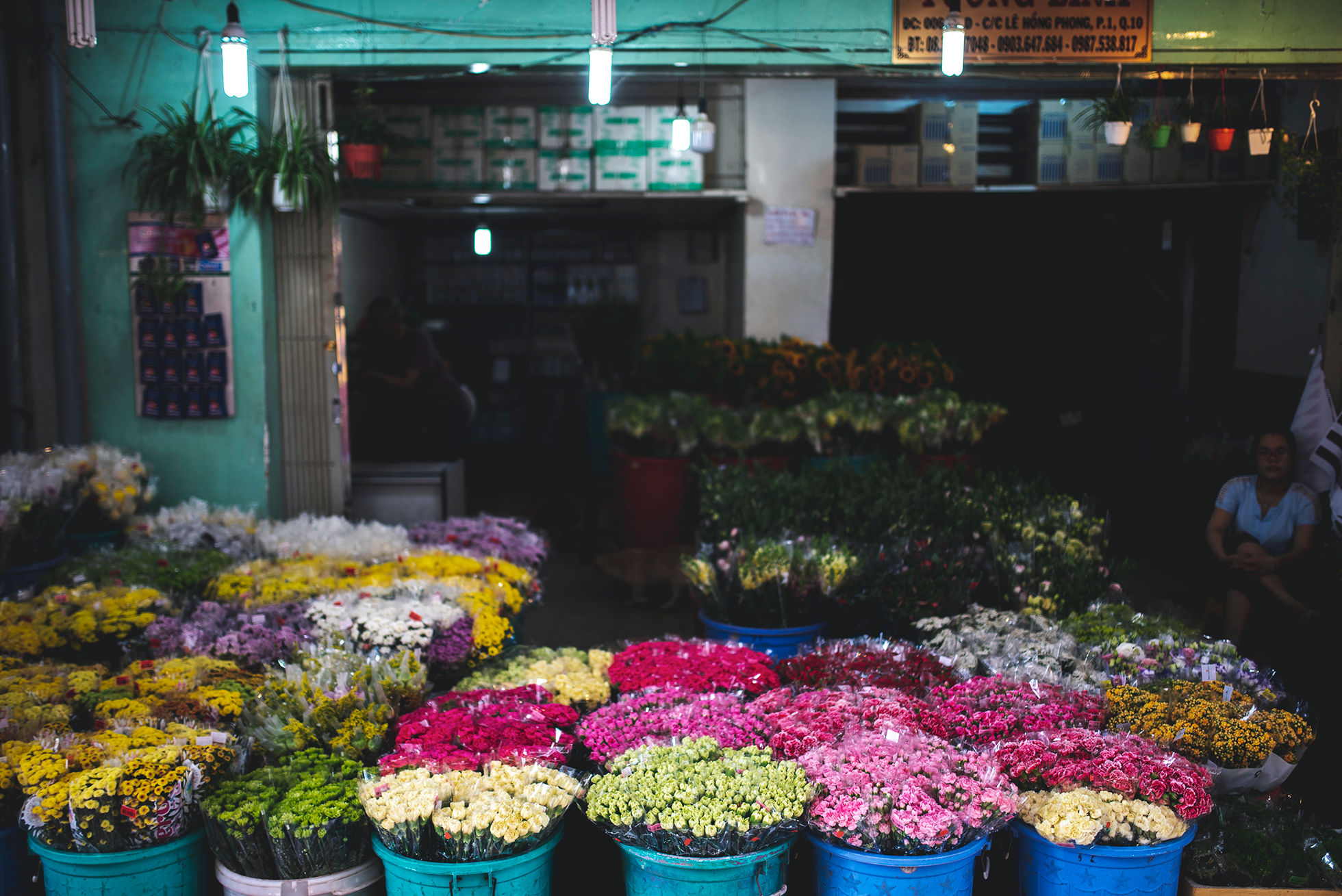 Vegan Food Walking Tour and the Hidden Gems in Ho Chi Minh City