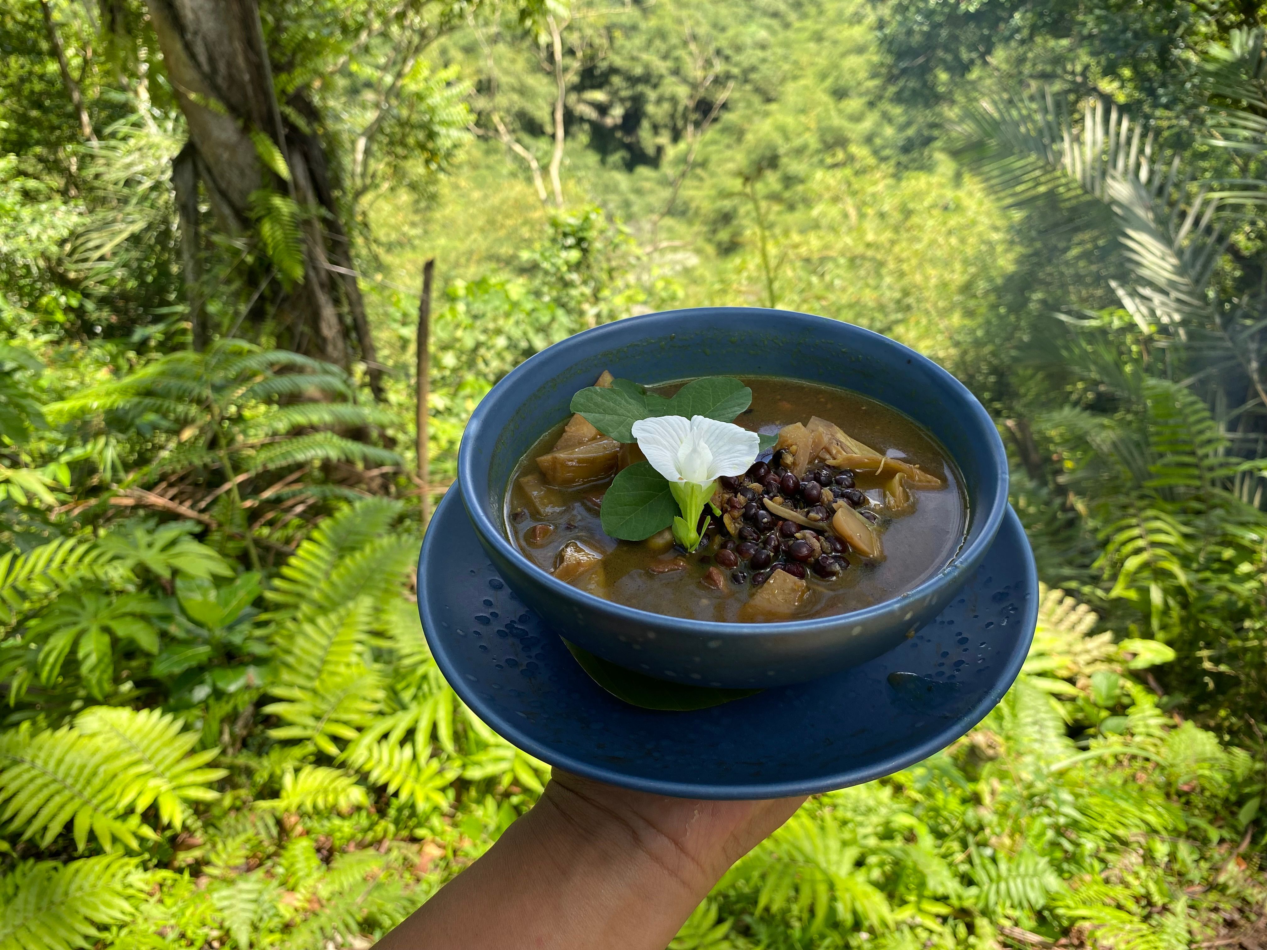Advanced Balinese Cooking Class on Organic Farm - Afternoon and Evening Class
