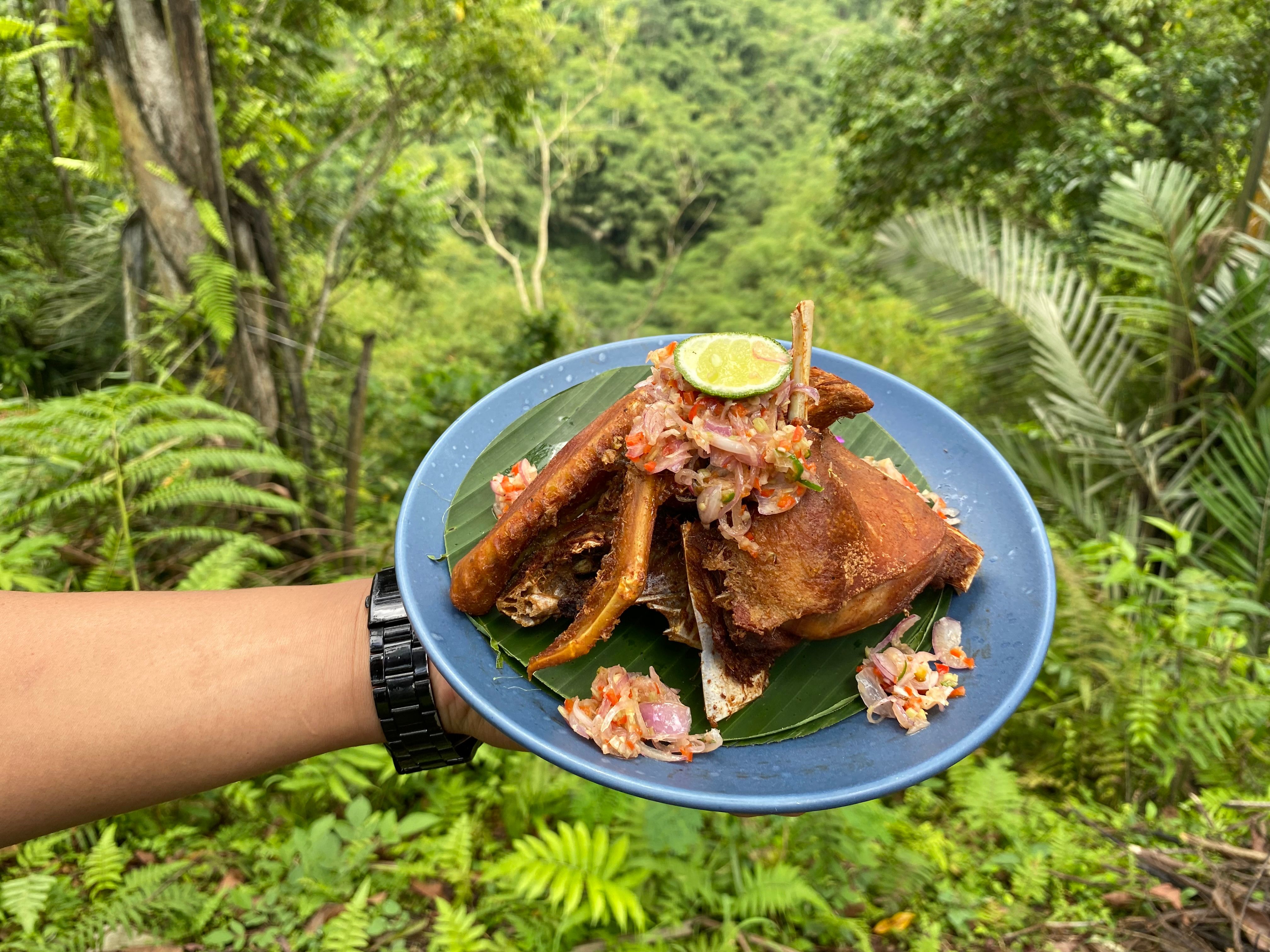 Advanced Balinese Cooking Class on Organic Farm - Afternoon and Evening Class