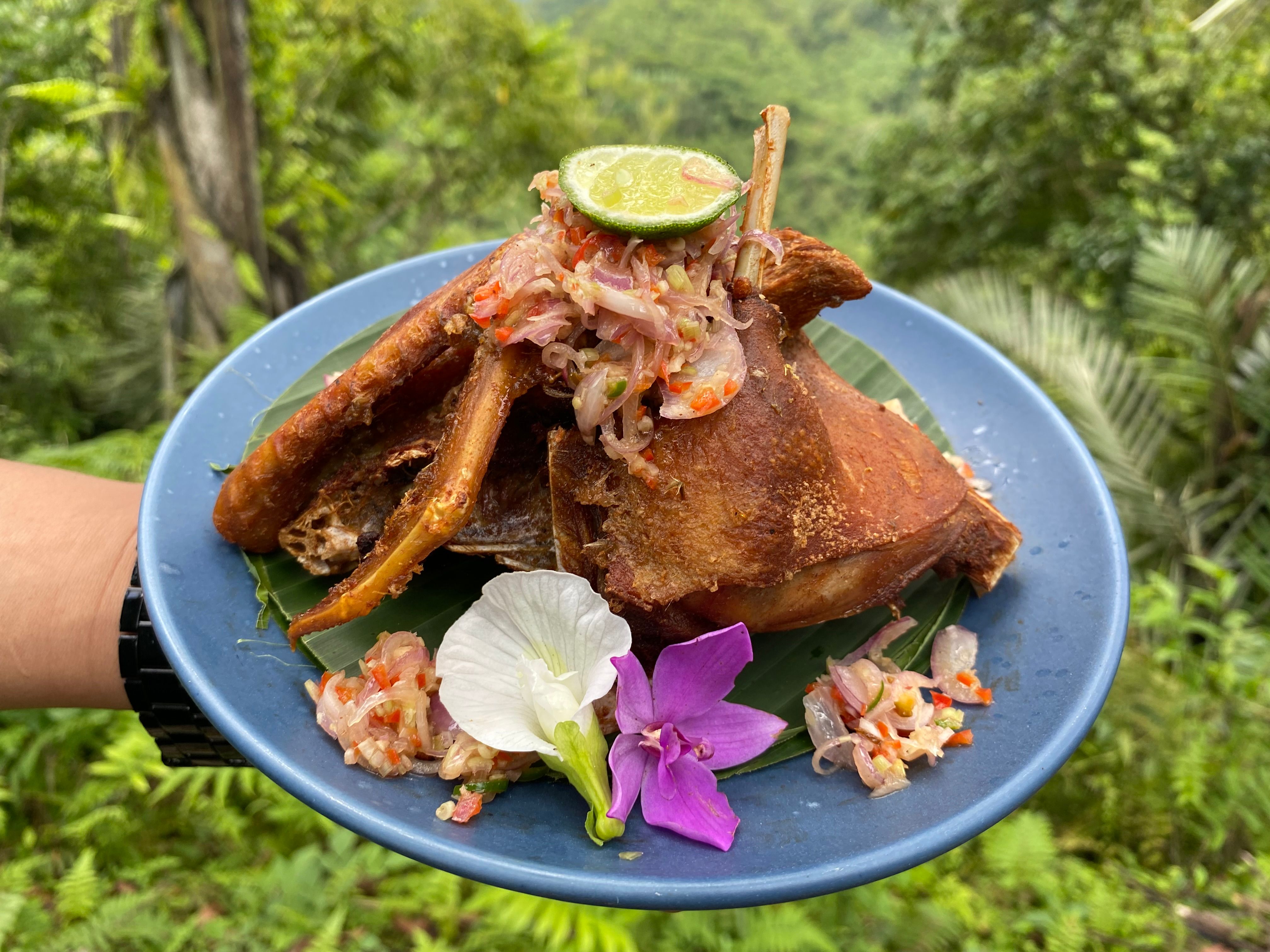 Advanced Balinese Cooking Class on Organic Farm - Morning Class