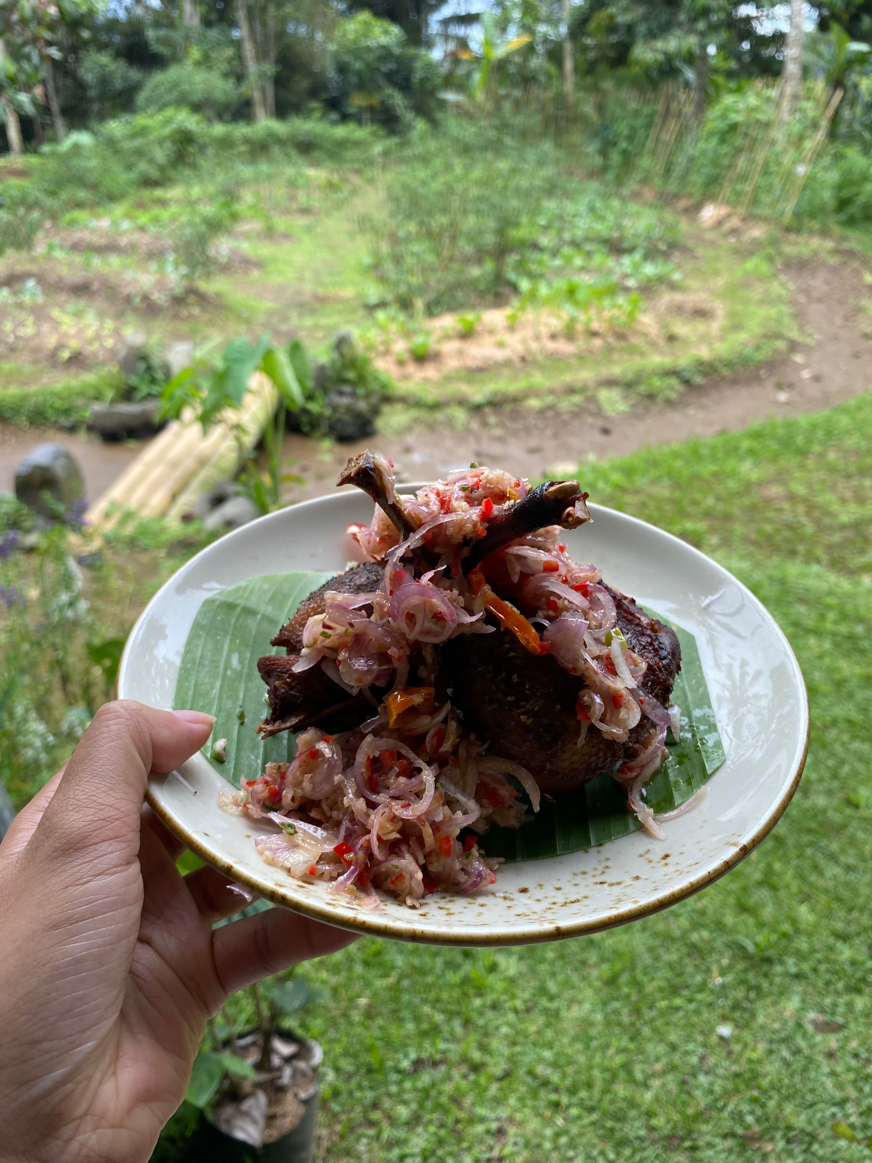 Advanced Balinese Cooking Class on Organic Farm - Morning Class