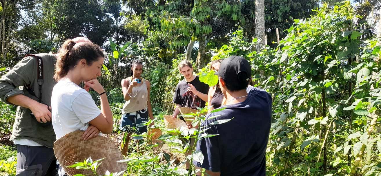 Advanced Balinese Cooking Class on Organic Farm - Morning Class