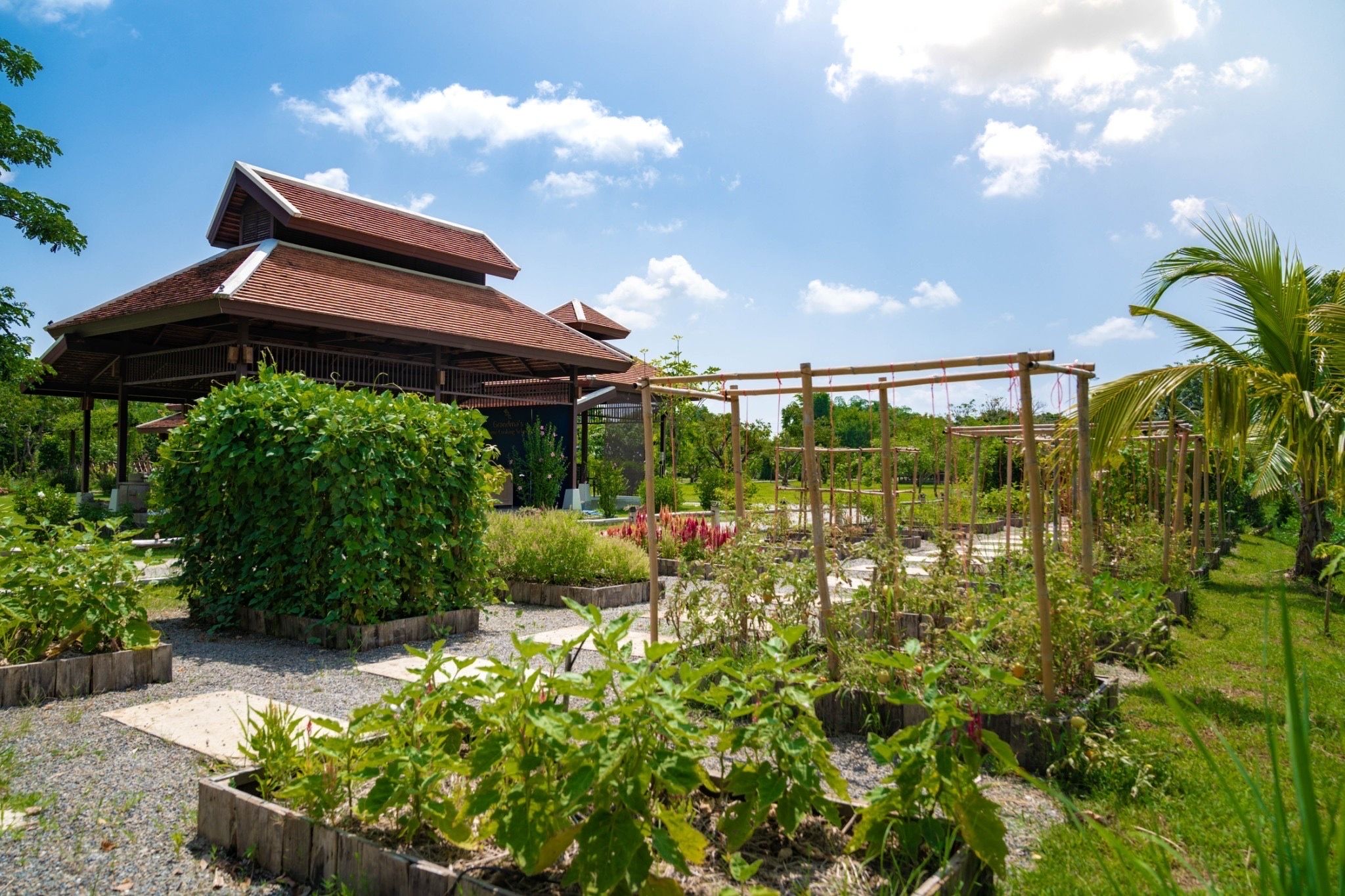 Afternoon Class in Traditional Pavilion with Beautiful Garden