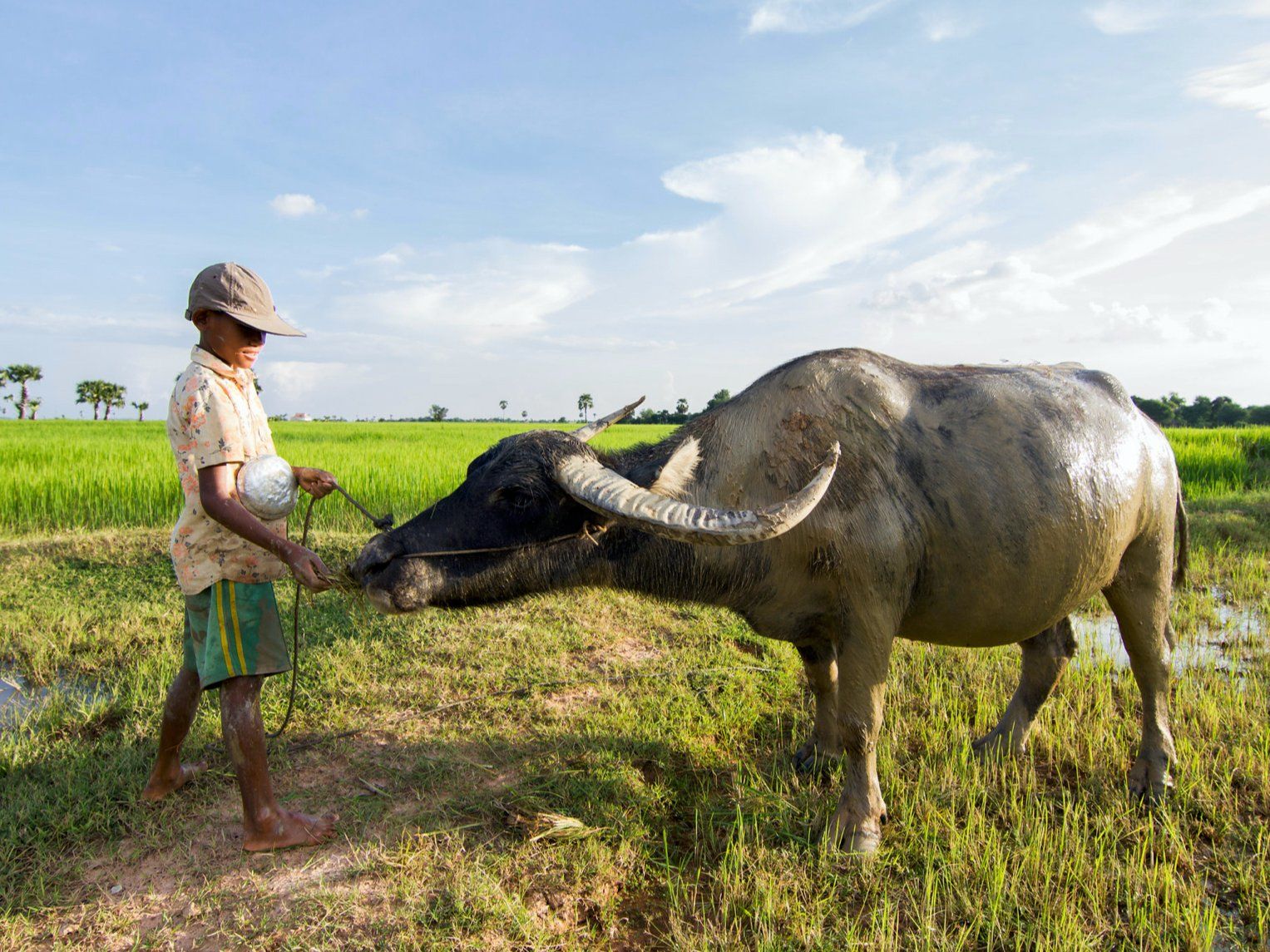 An Afternoon Farm-to-Table Khmer Cooking Experience in Siem Reap
