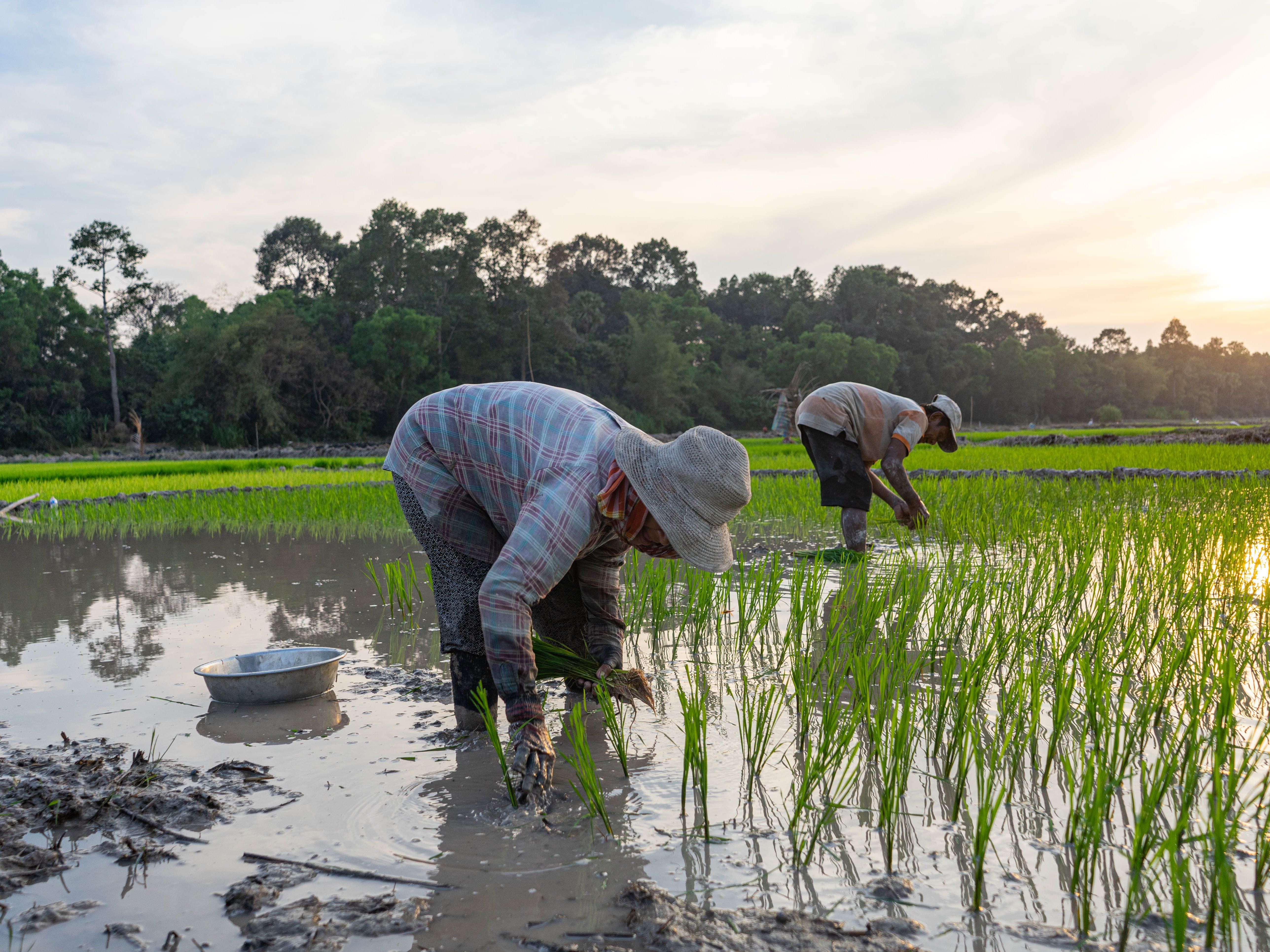 An Afternoon Farm-to-Table Khmer Cooking Experience in Siem Reap