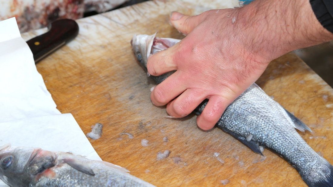 All Inclusive Small Group Day Trip from Venice: Organic Farm Visit & Seafood Prosecco Lunch