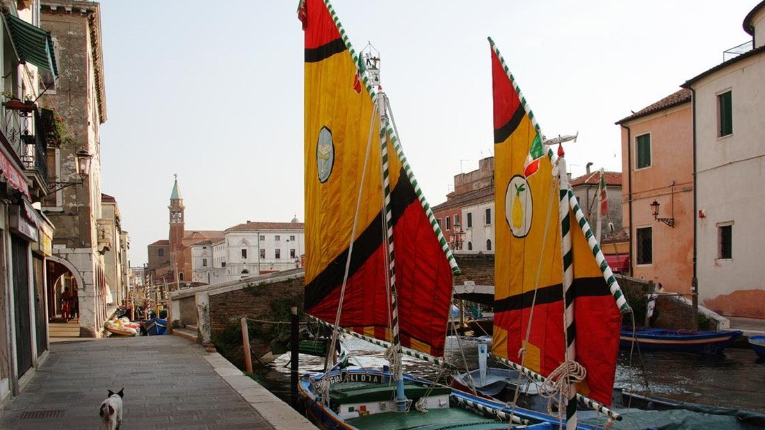 All Inclusive Small Group Day Trip from Venice: Organic Farm Visit & Seafood Prosecco Lunch