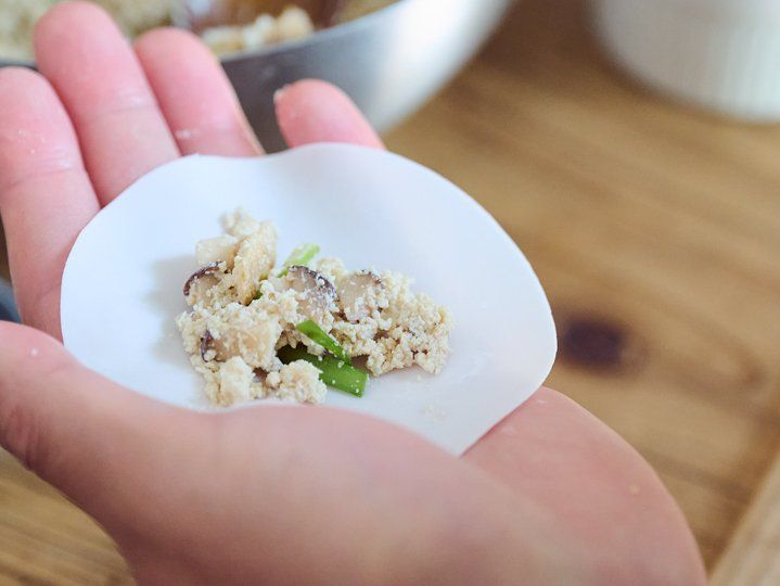 Vegan Gyoza Masterclass: Crispy Pan-Fried & Umami-Steamed Delights - Private Class