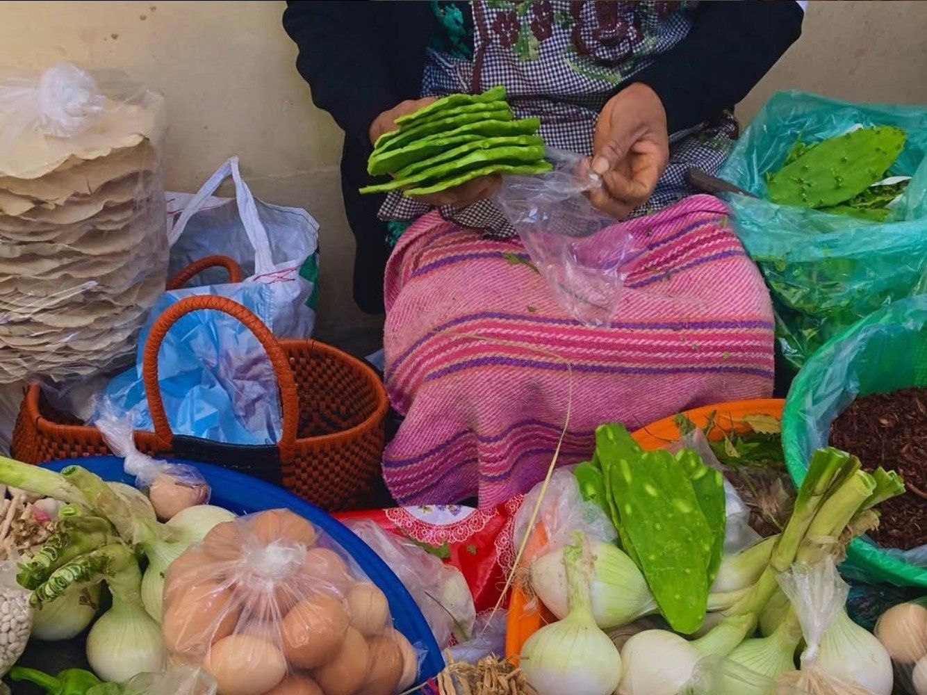 Authentic Oaxacan Cooking Experience and Market Tour