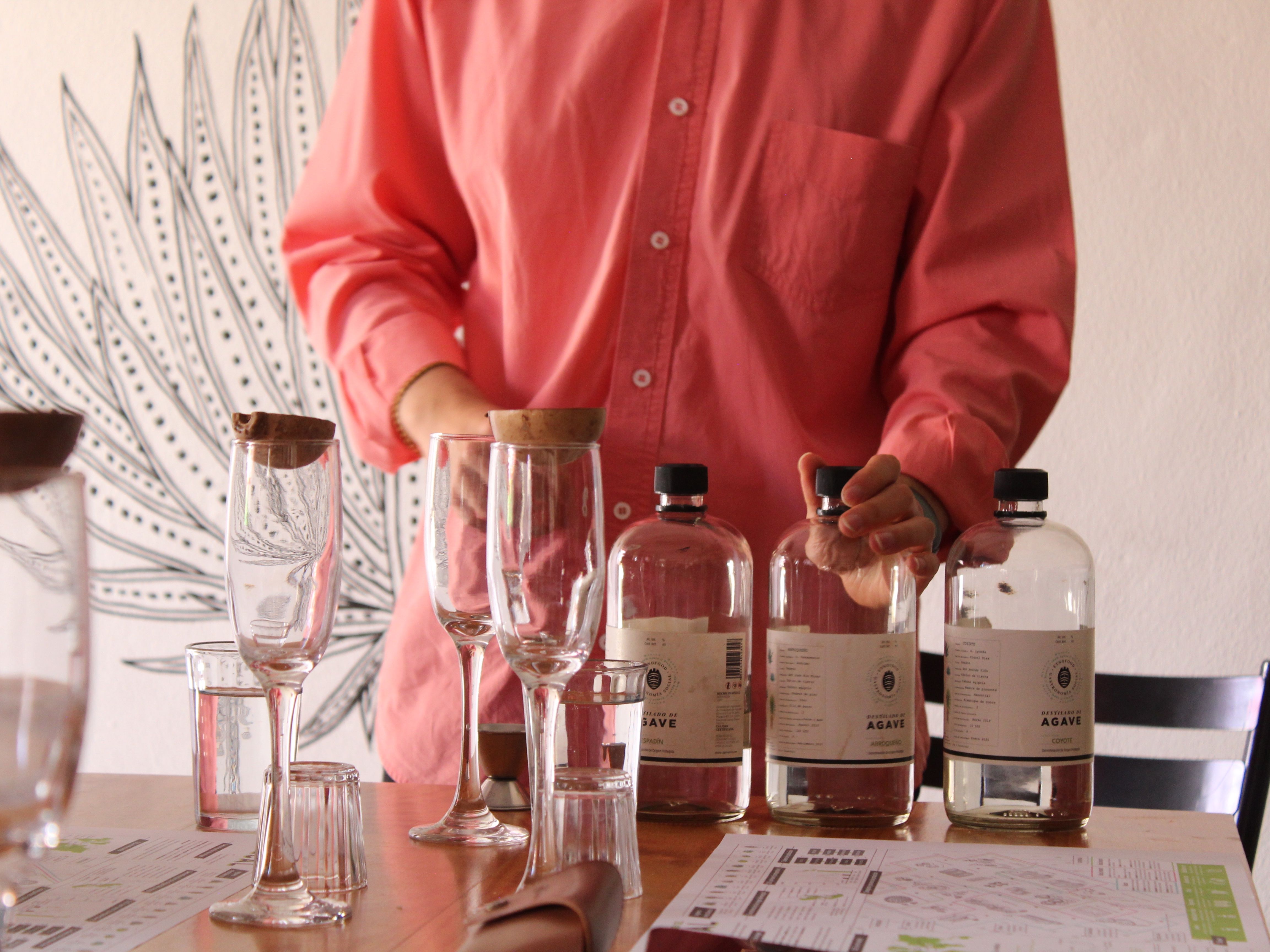 An Immersive Mezcalerías Tour Experience