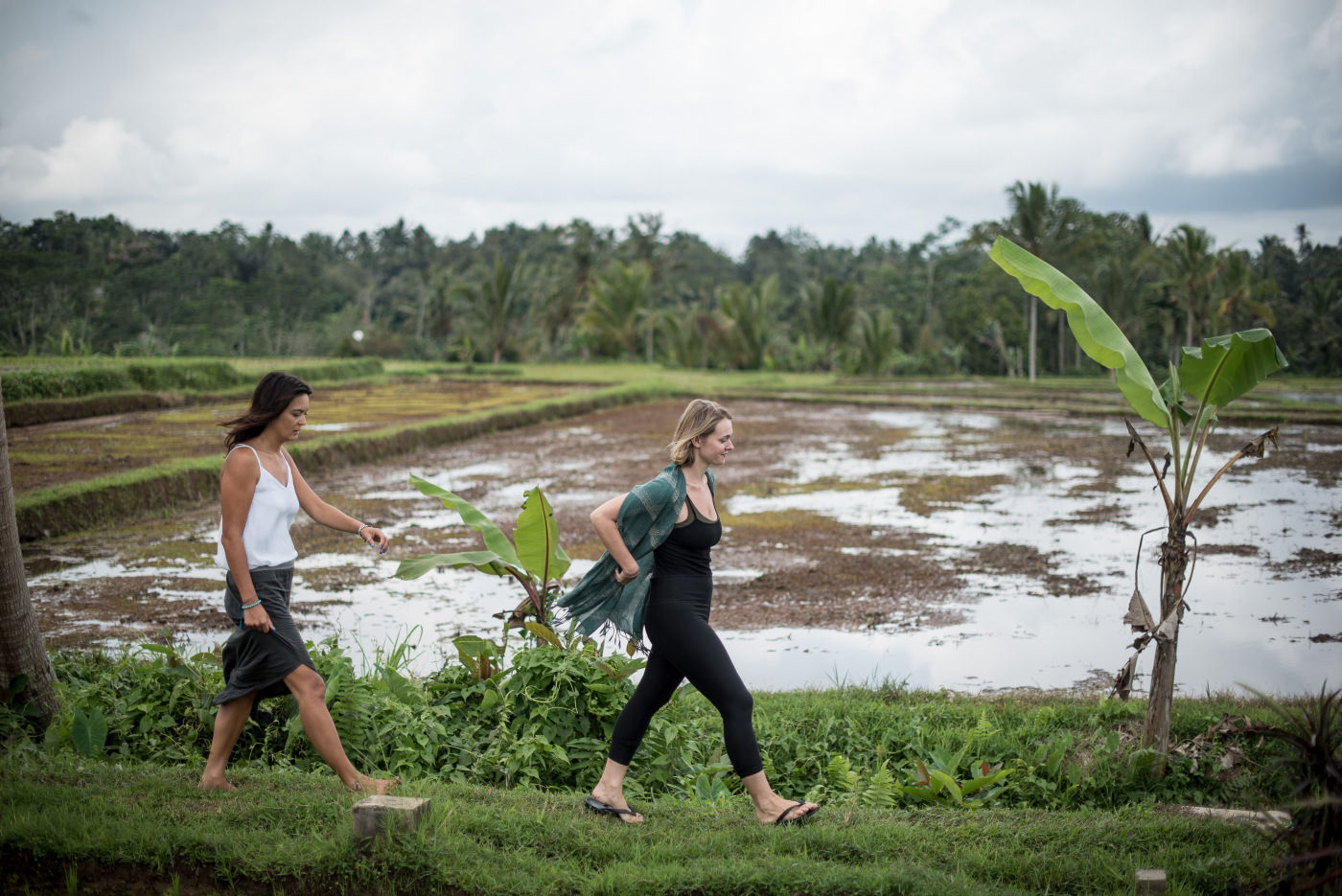 Plan d'une journée de cueillette dans les jardins de la forêt tropicale et de cuisine végétalienne saine