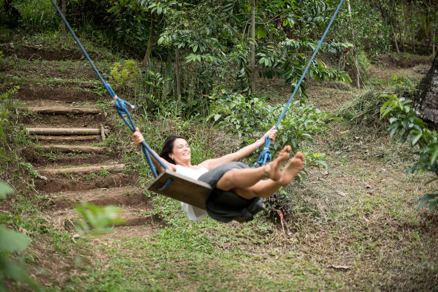 Plan d'une journée de cueillette dans les jardins de la forêt tropicale et de cuisine végétalienne saine