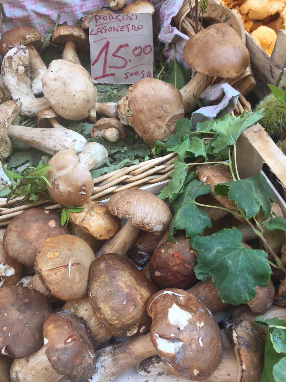 Antignano Local Market Tour with Giorgia Chiatto Private Class
