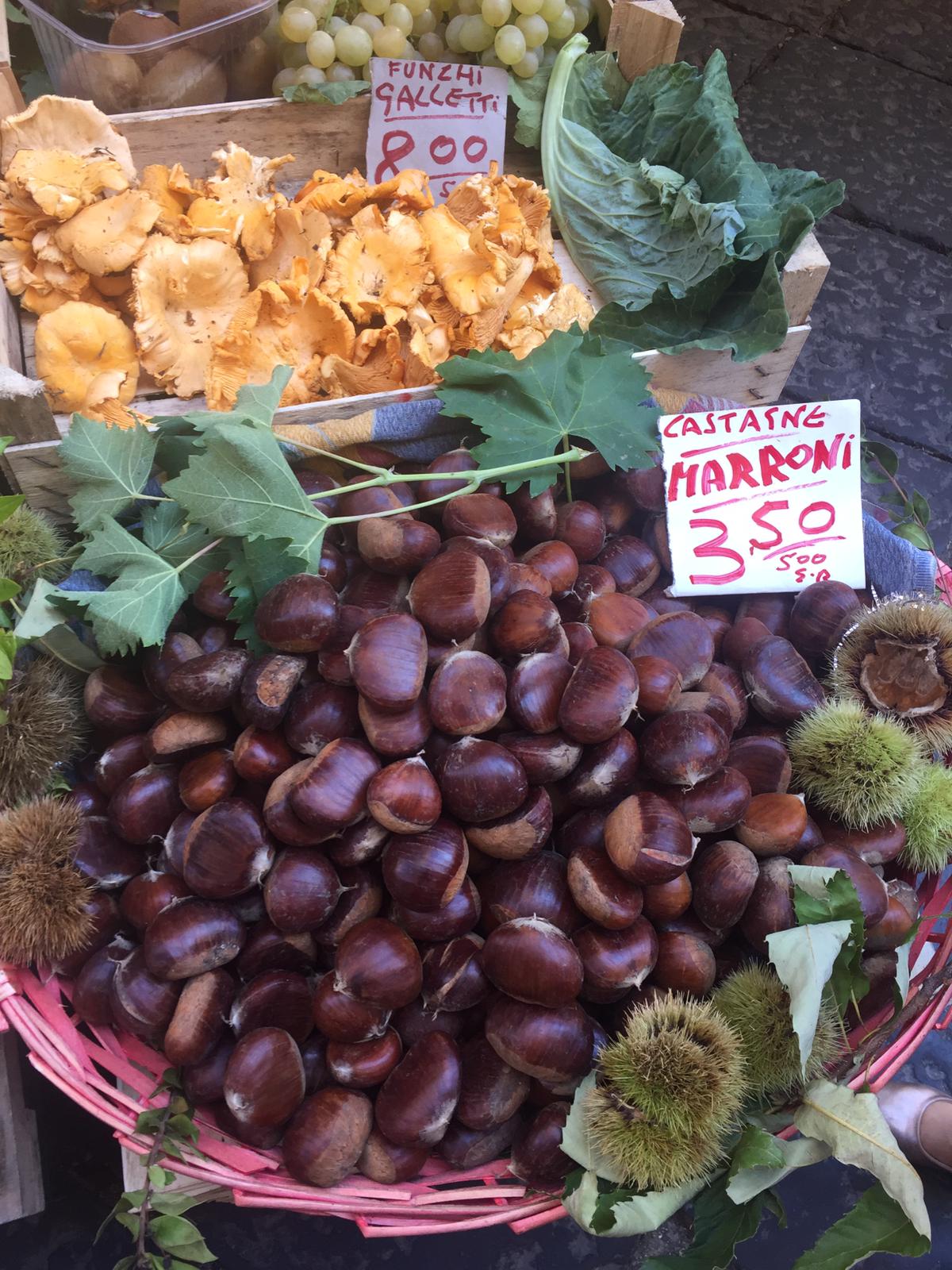 Antignano Local Market Tour with Giorgia Chiatto Private Class