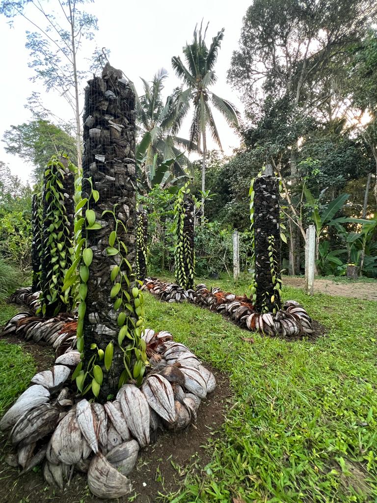 Authentic Balinese Cooking Class in Organic Farm with Market and Rice Field Tour